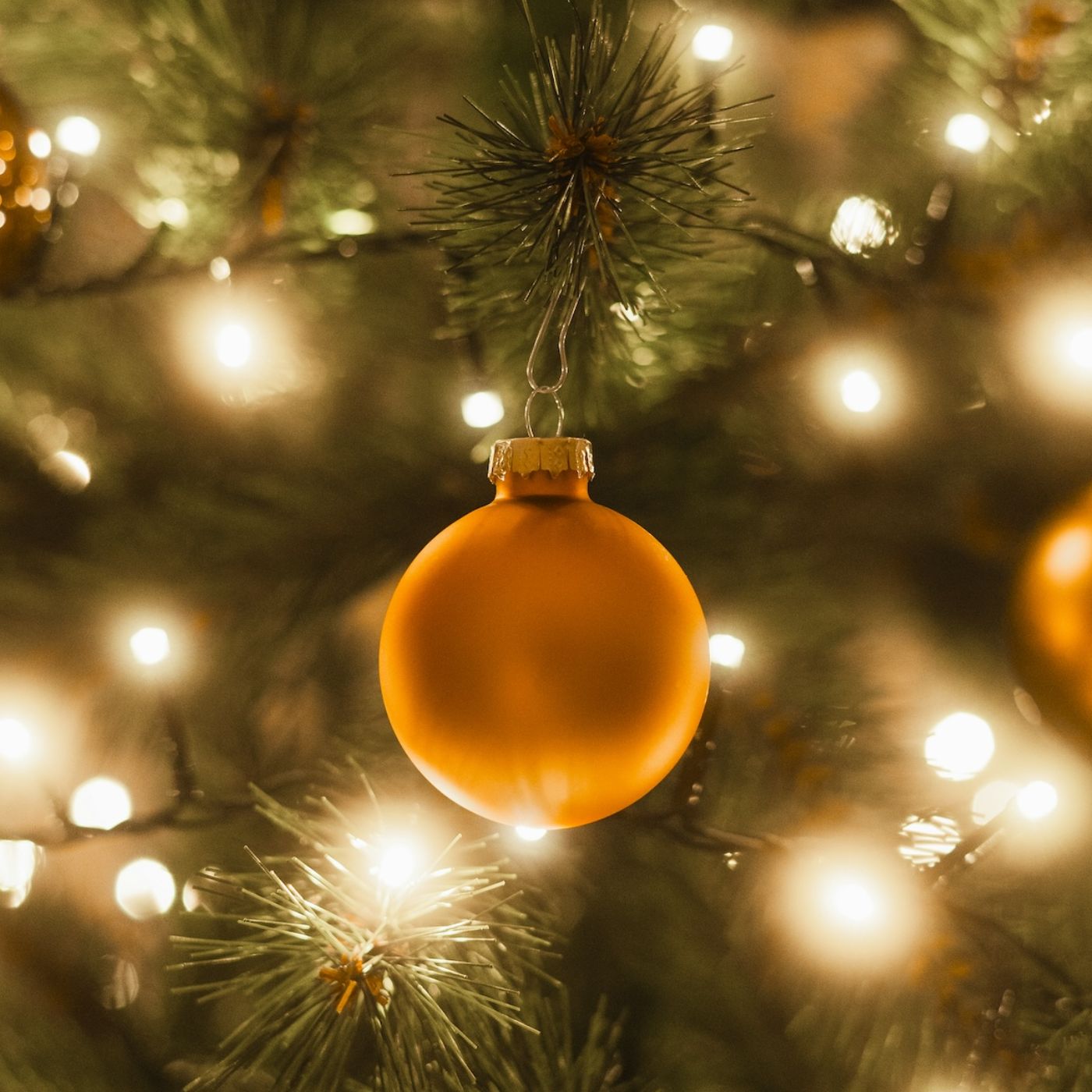 Corinnas - Kopie cover art