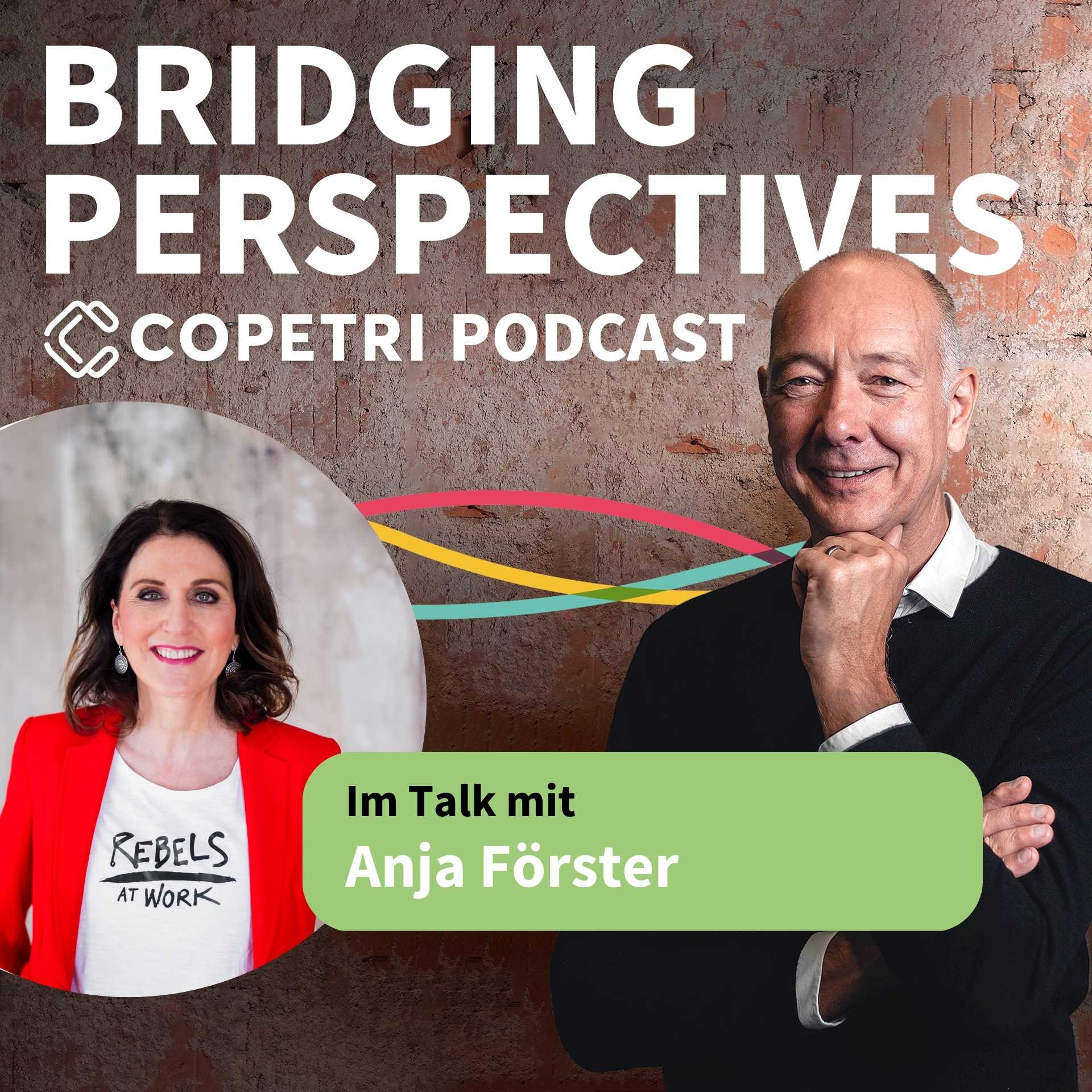 Bridging Perspectives - COPETRI Podcast