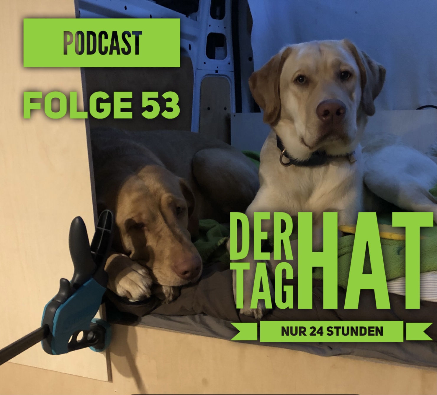 Andrea Brandt - Der nächste Schritt ist... das WAGNIS ABENTEUER LEBEN