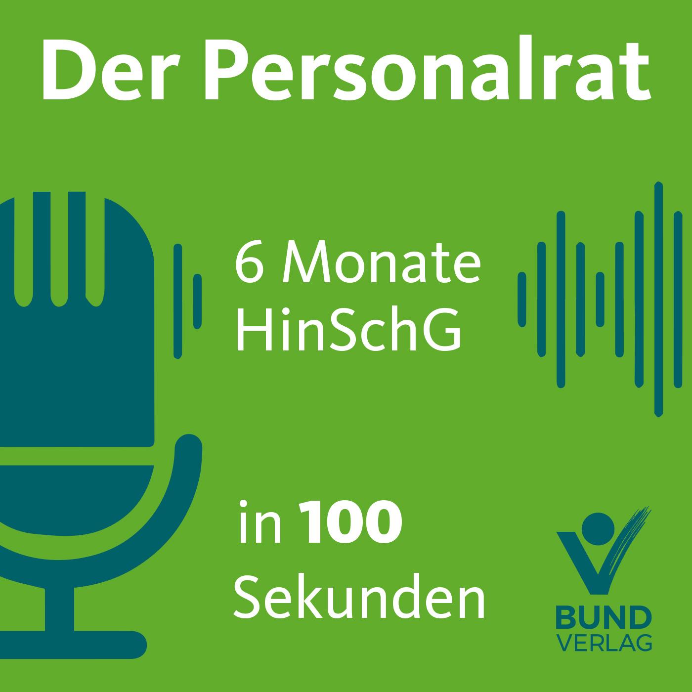 100 Sekunden: 6 Monate HinSchG episode artwork