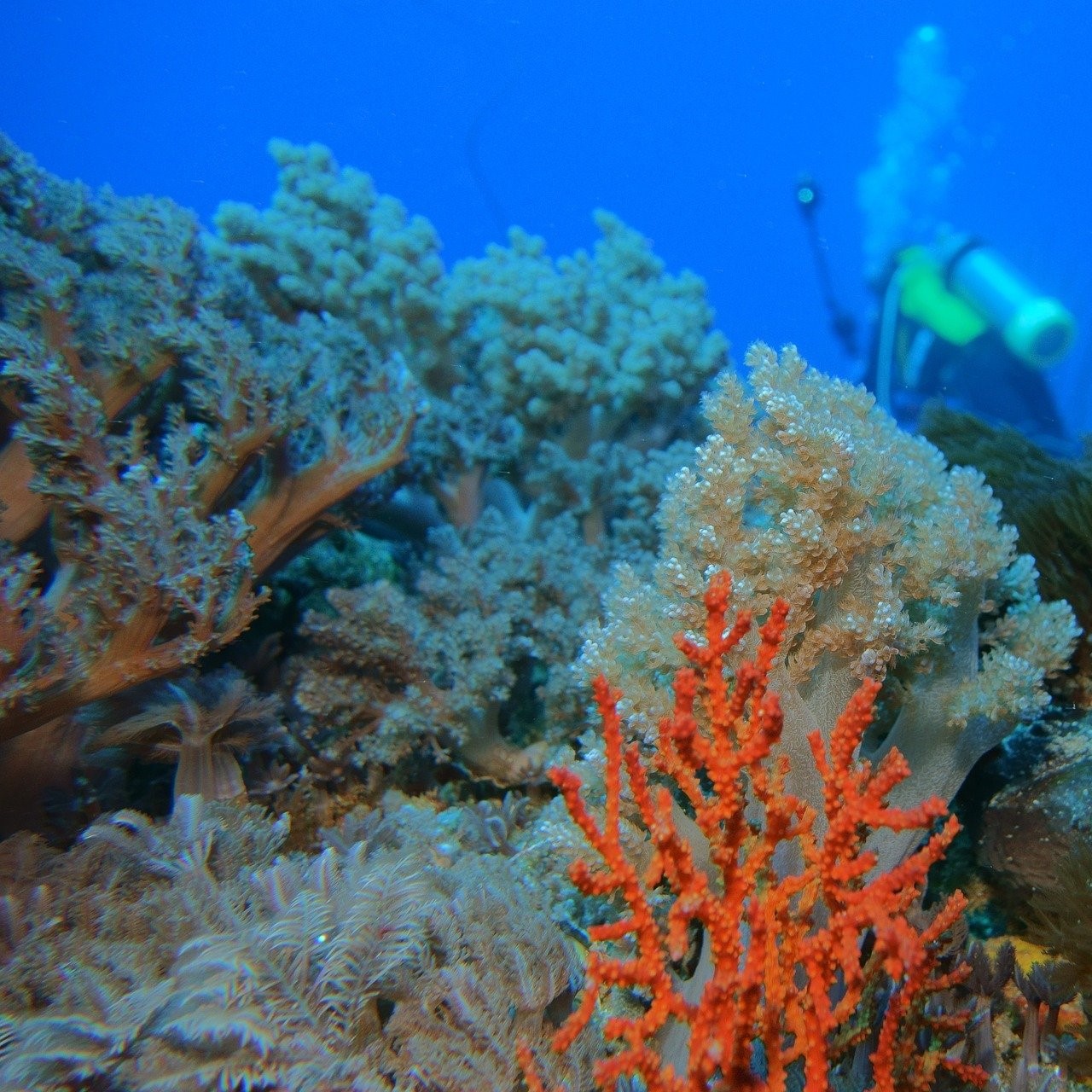 Kurzwelle - das Kindermagazin von Radio Feierwerk