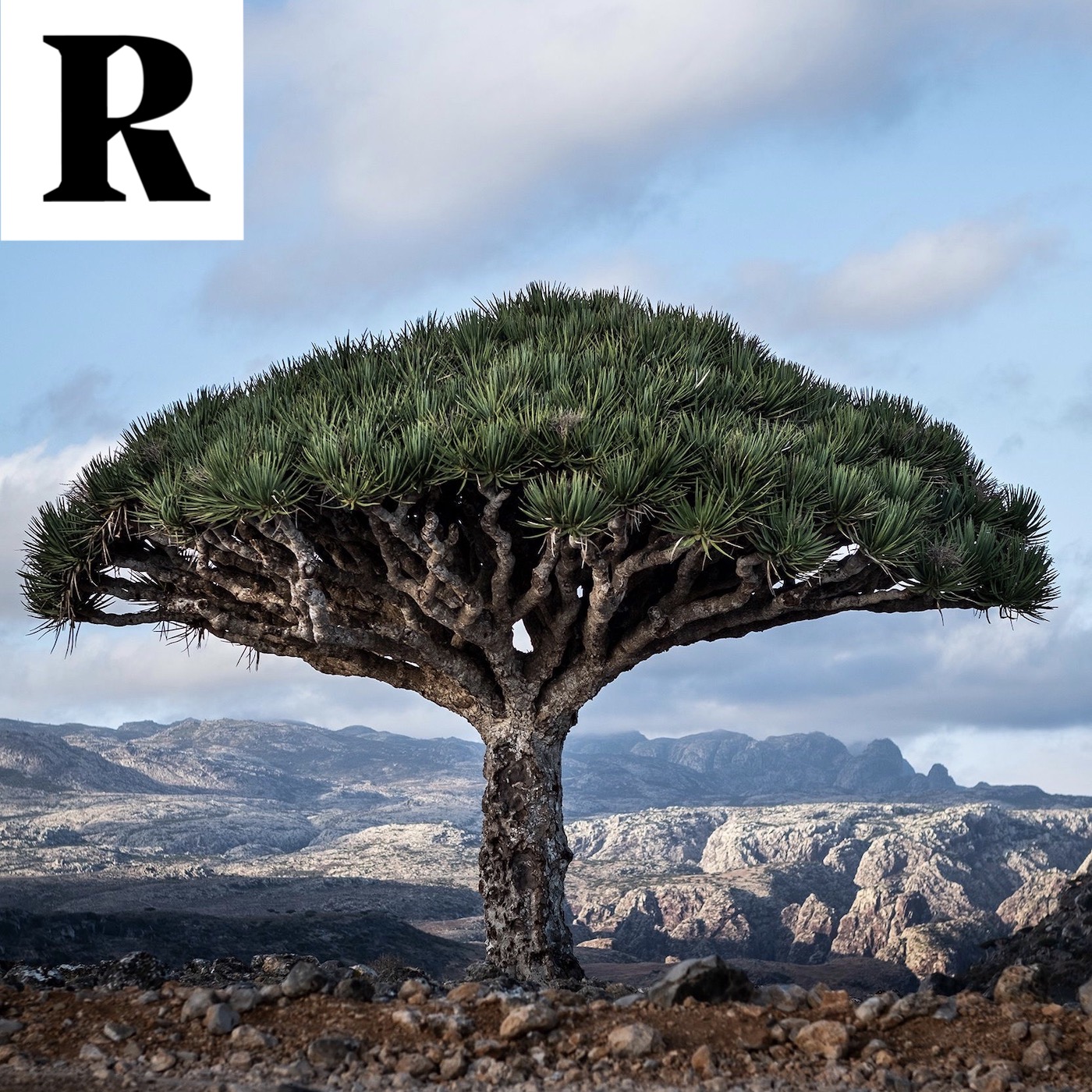 Republik «Vorgelesen»