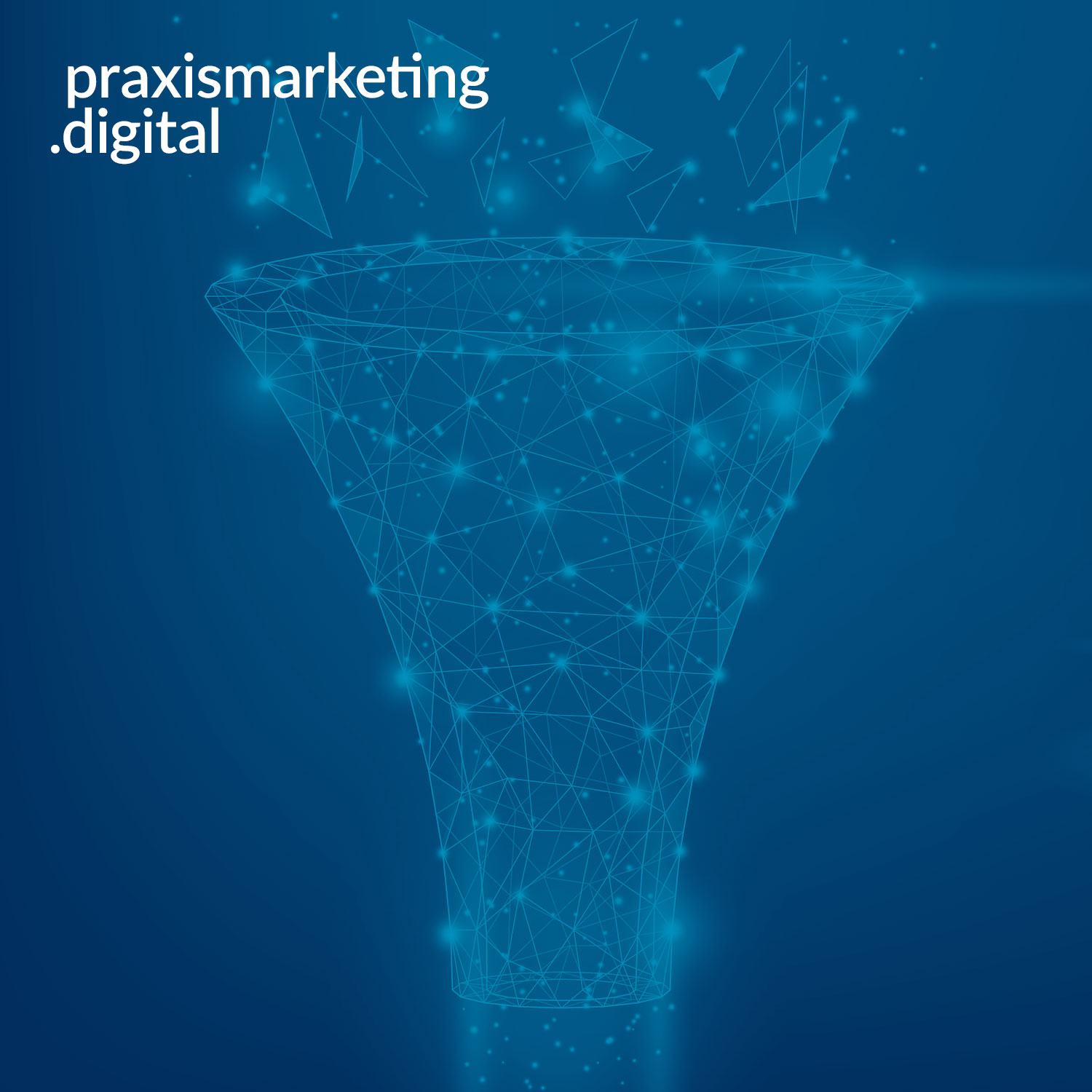 praxismarketing.digital