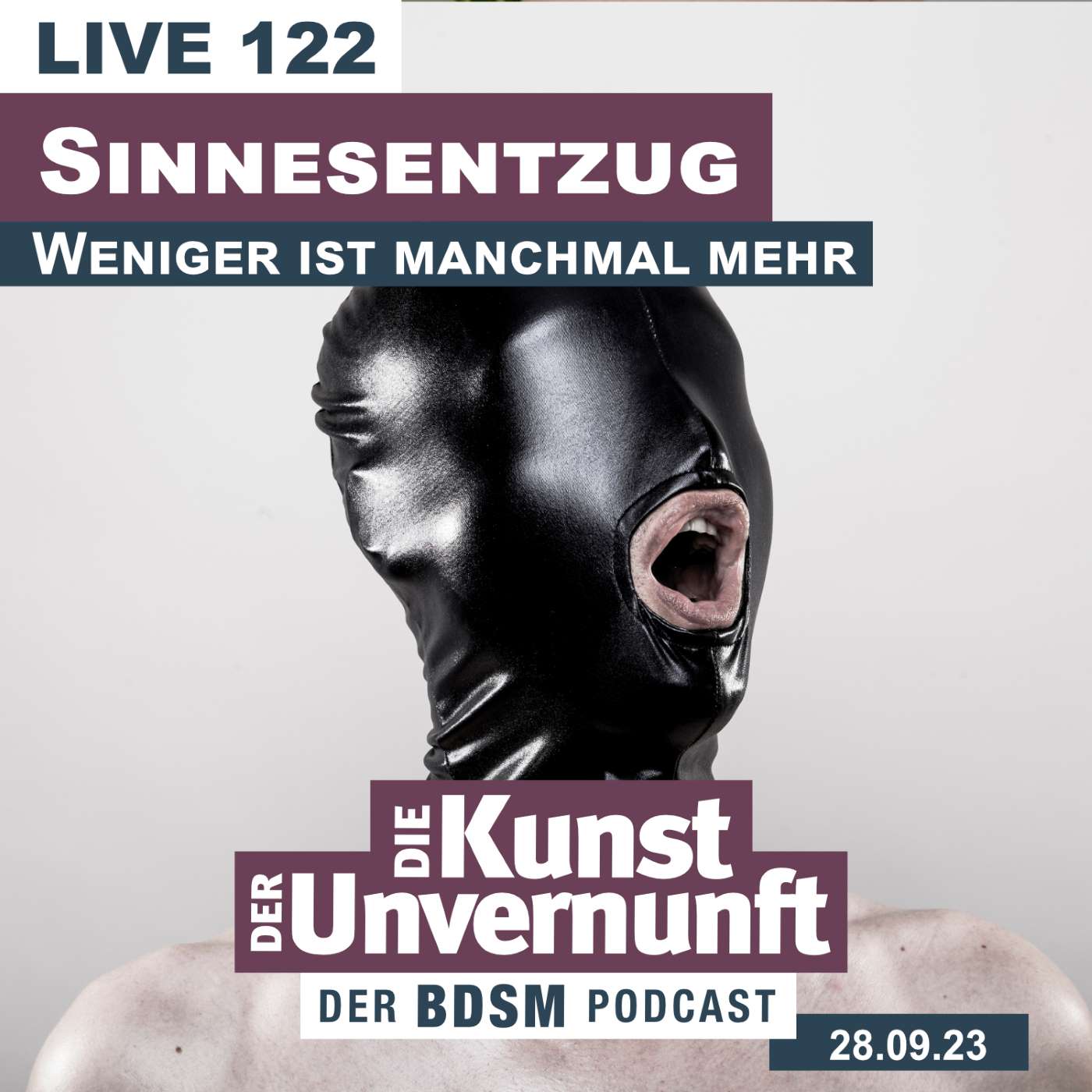 BDSM - Die Kunst der Unvernunft