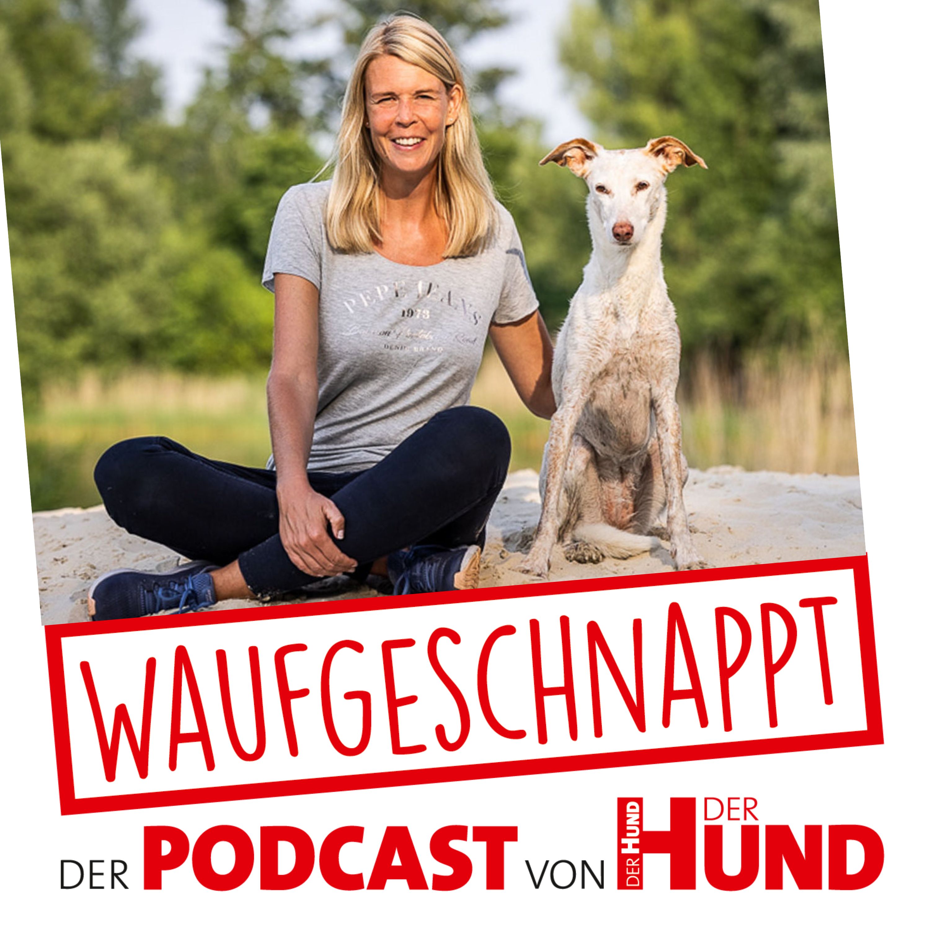 Waufgeschnappt - der Podcast von DER HUND