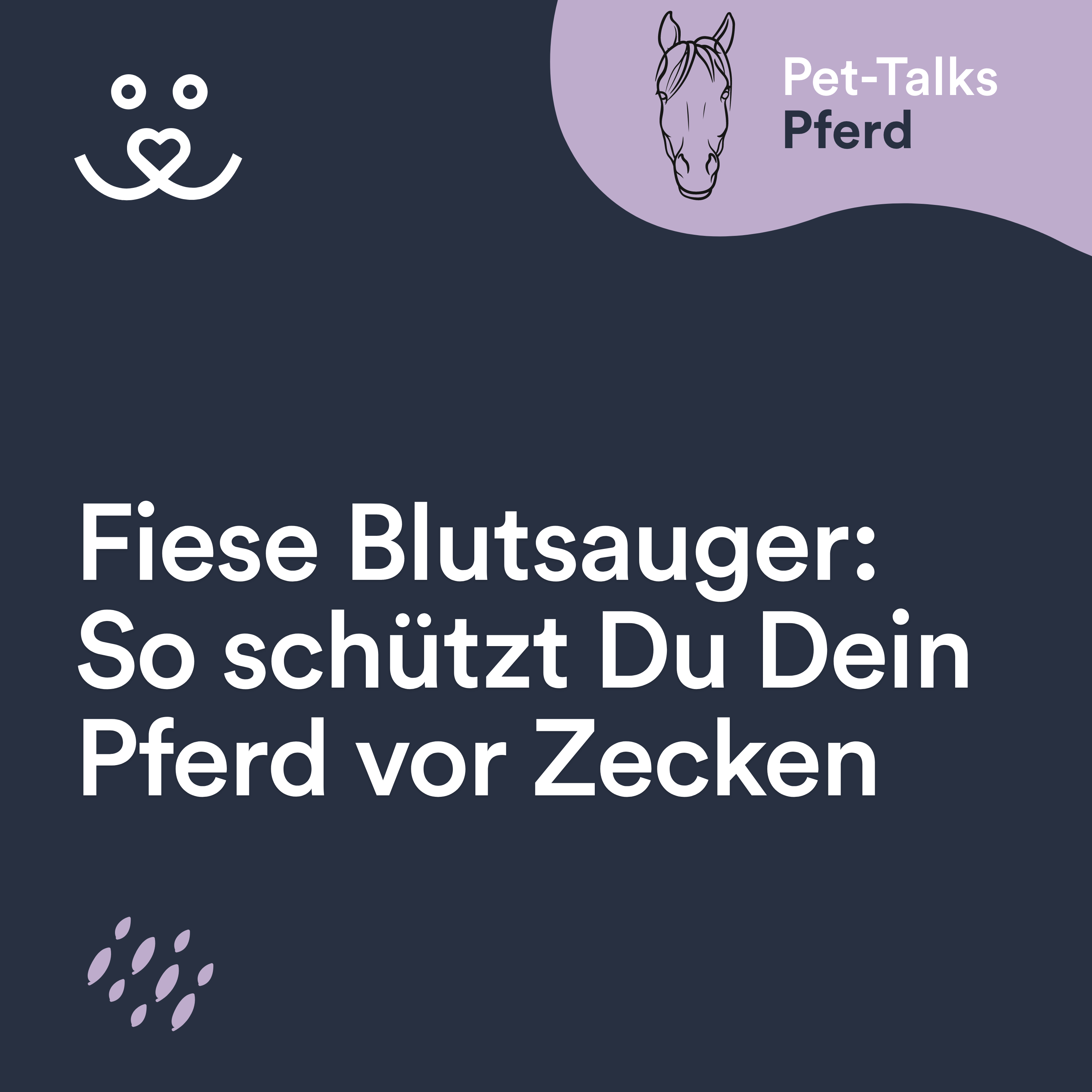 Pet-Talks: Pferd – der Ratgeber-Podcast von DeineTierwelt