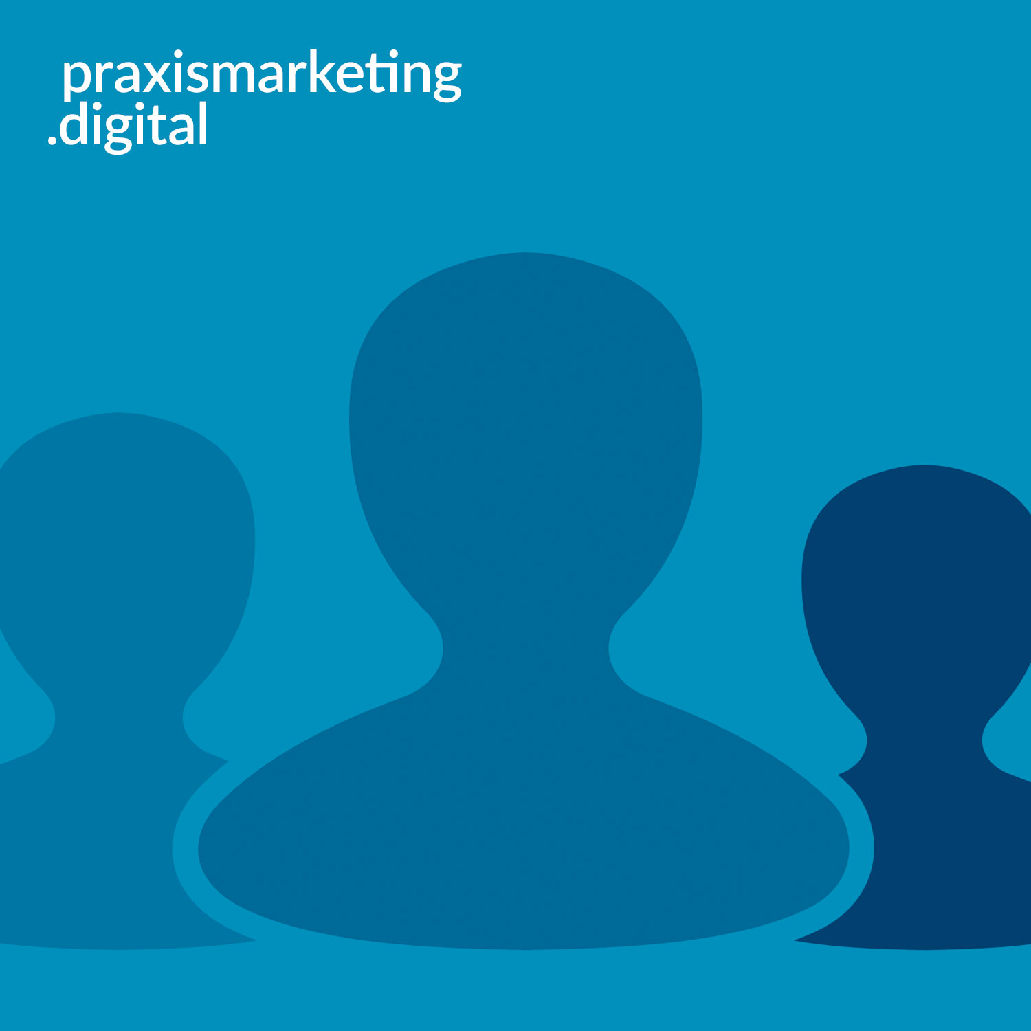 praxismarketing.digital