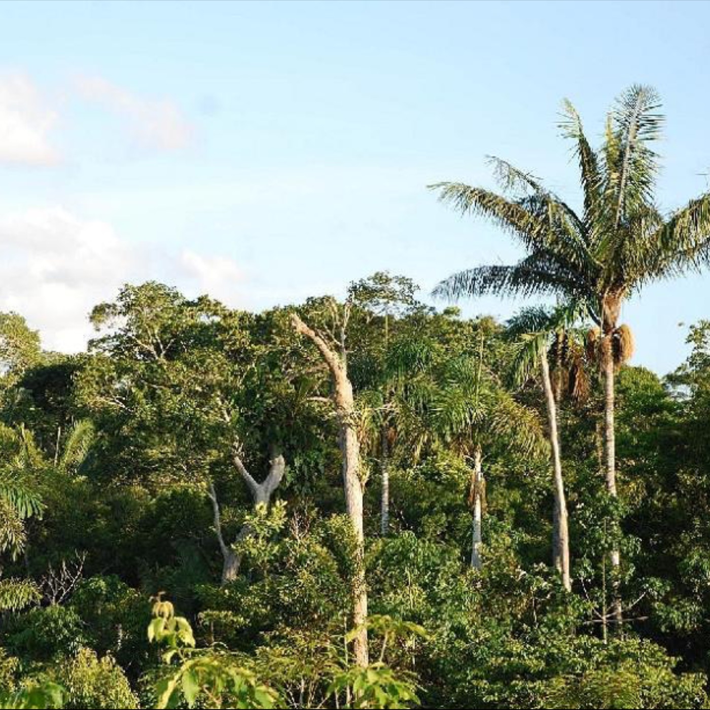 Weltaufgang - der Good News Podcast