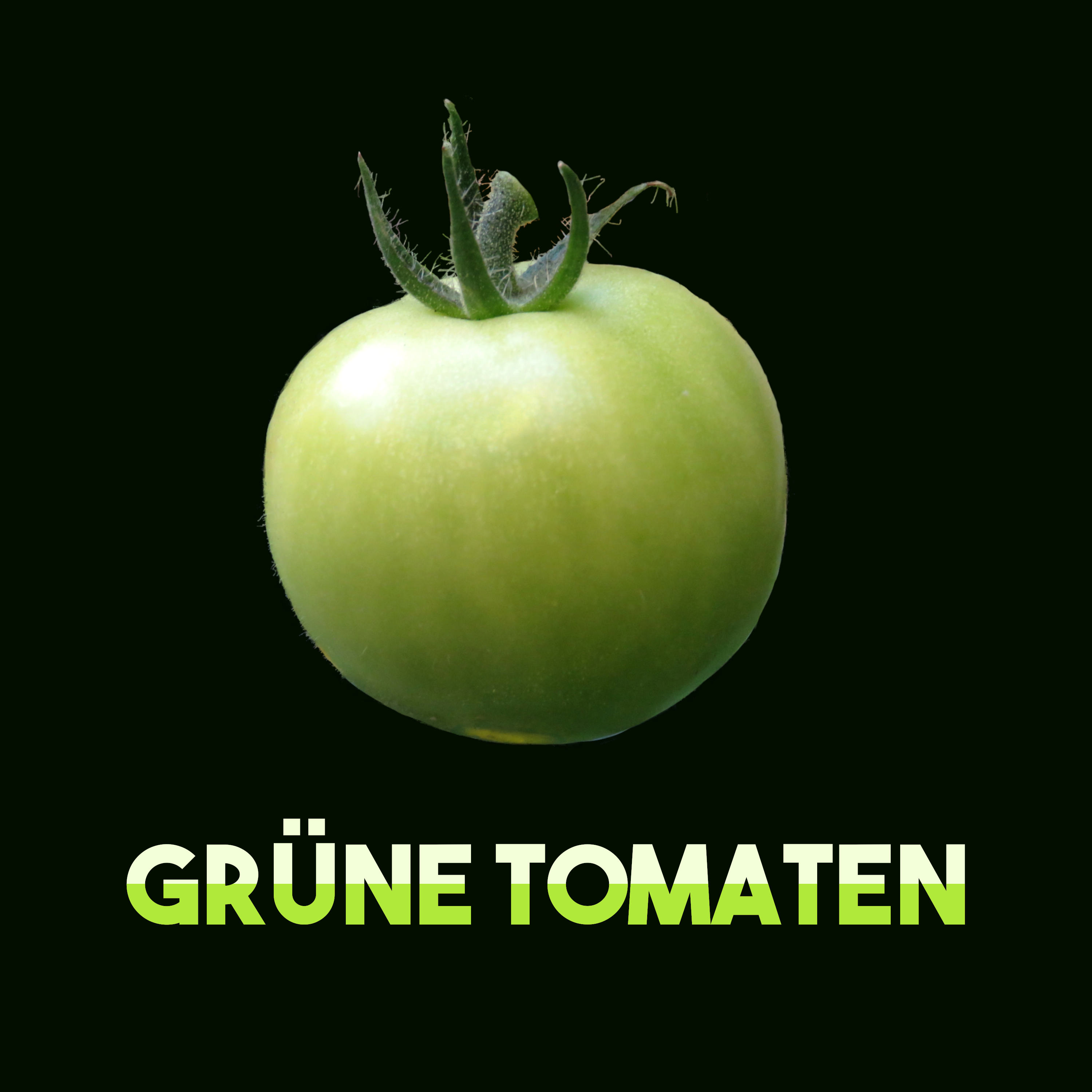 Klassiker der Filmgeschichte