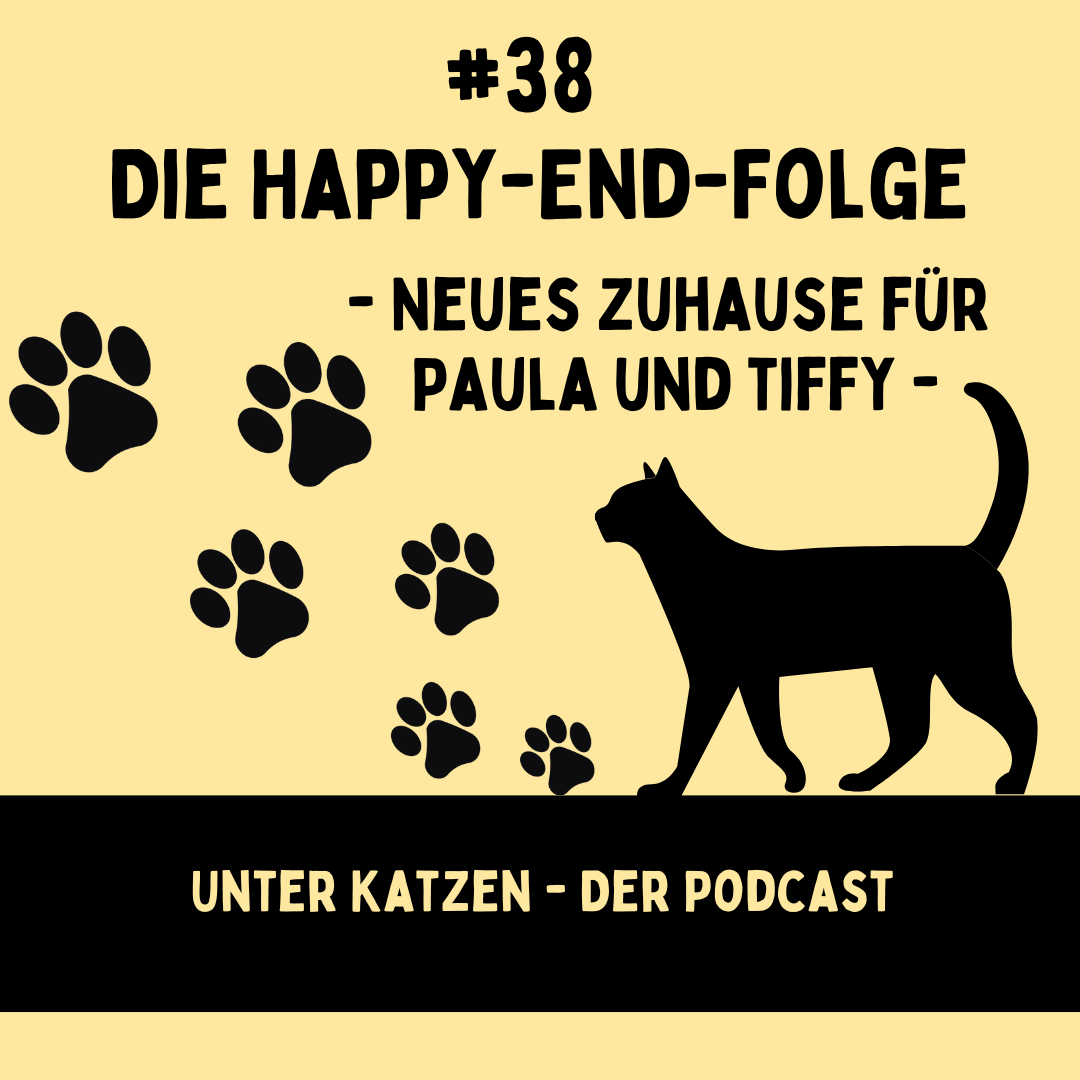 #38 Die Happy-End-Folge