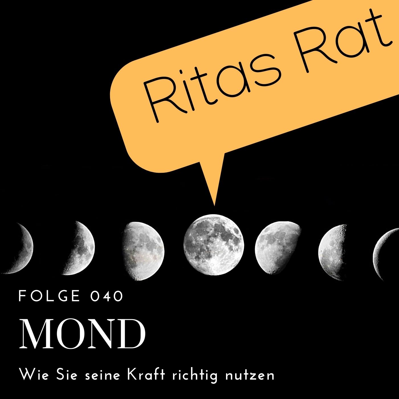 Ritas Rat