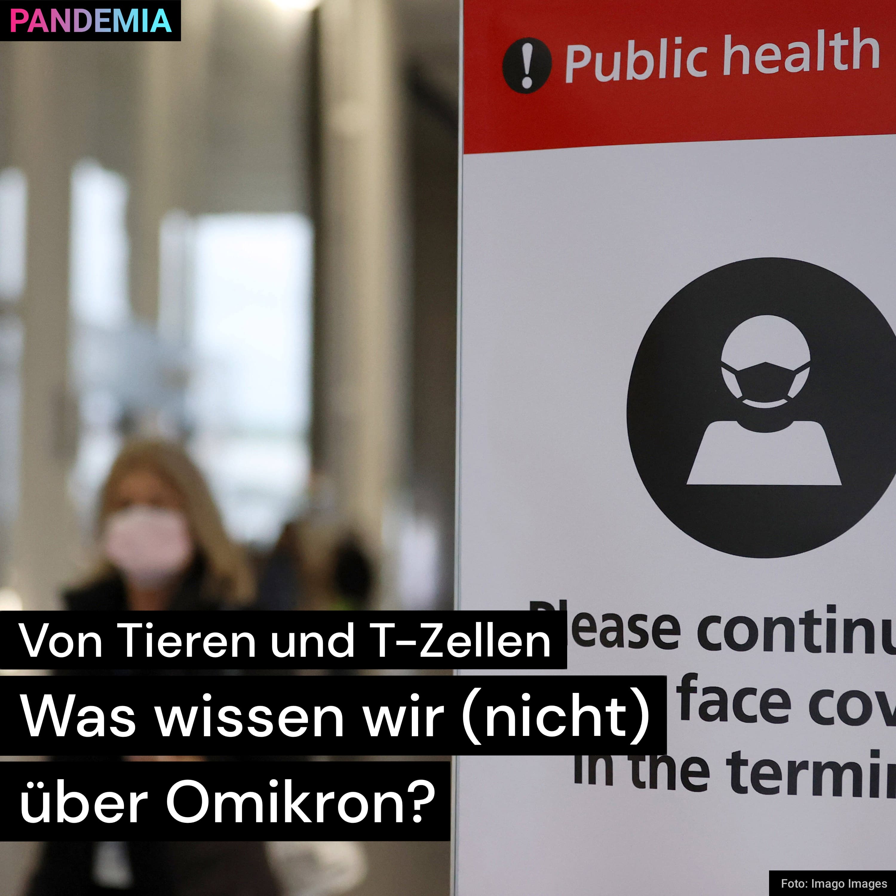 Pandemia