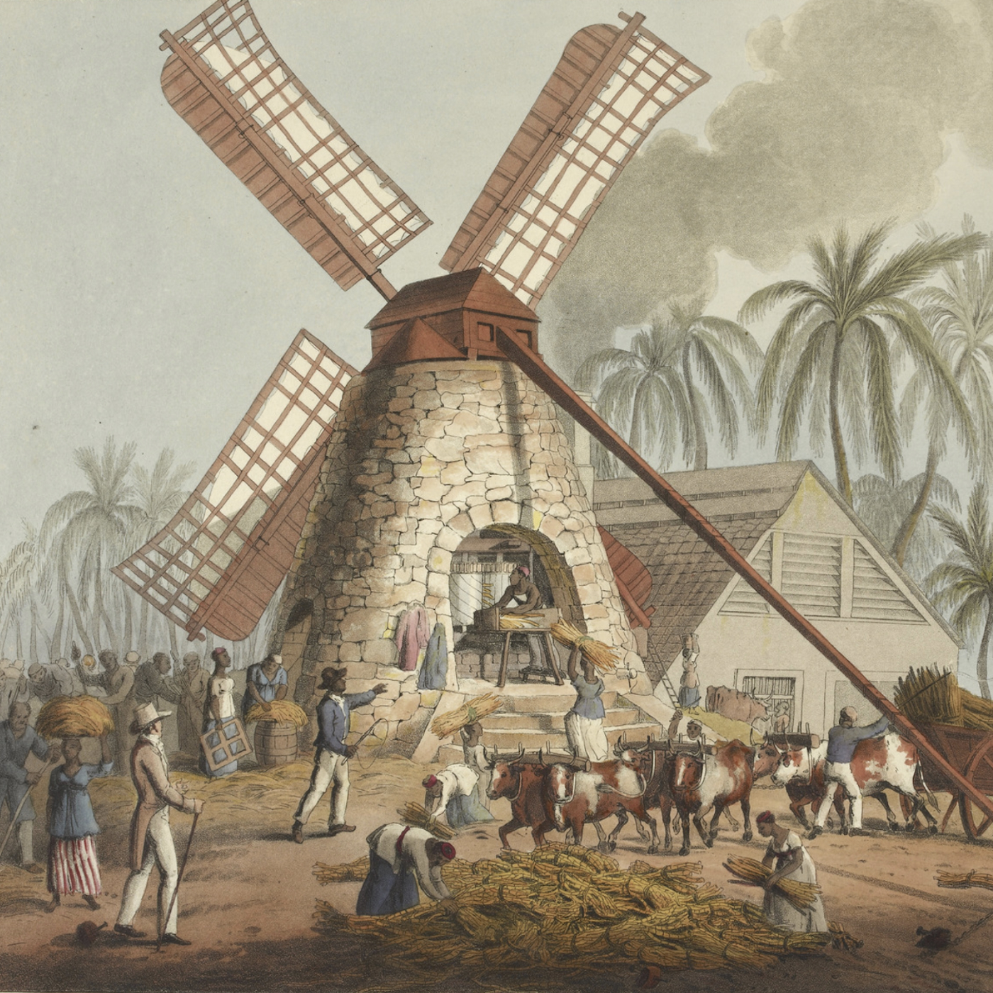 How Did Rum Influence the Declaration of Independence?