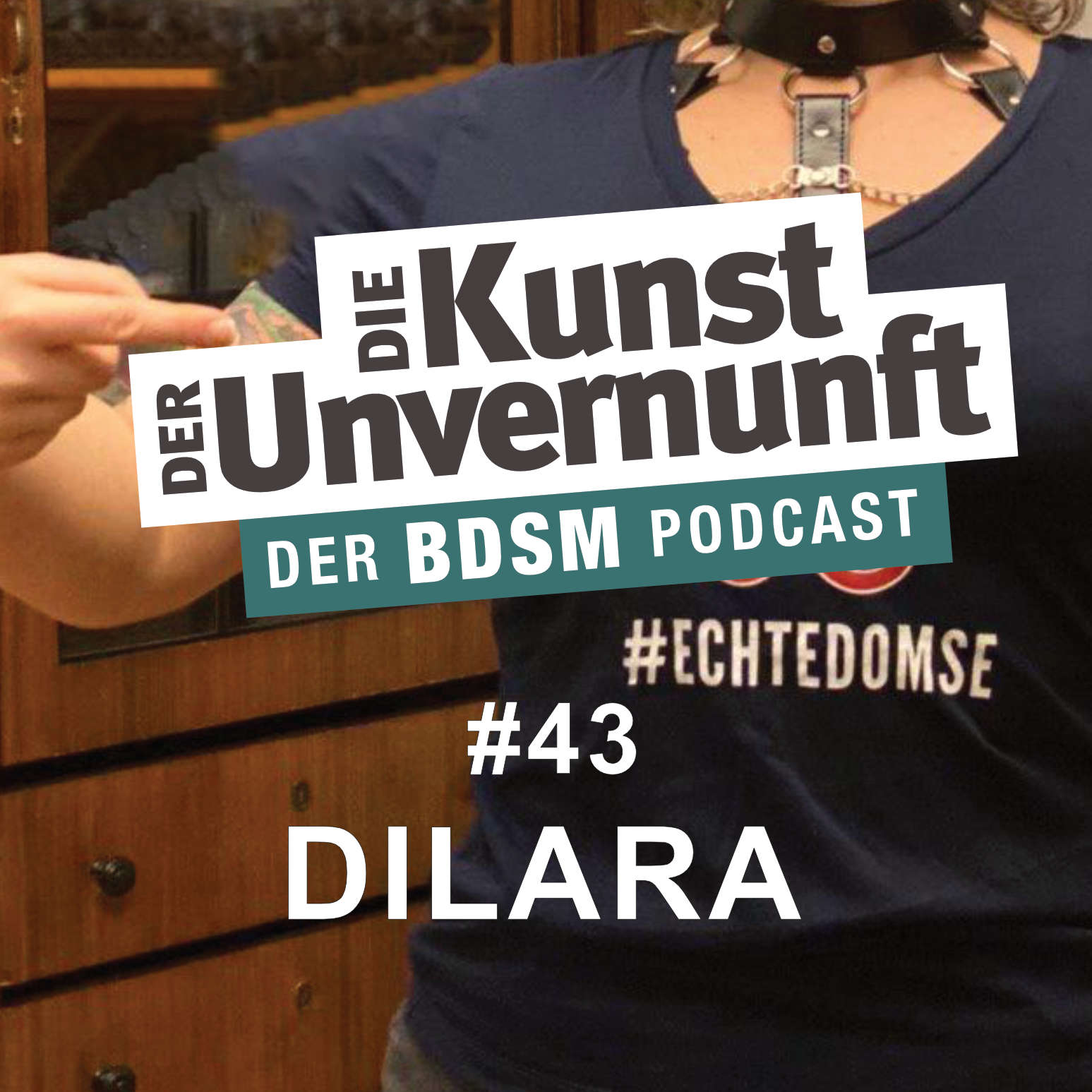 BDSM - Die Kunst der Unvernunft