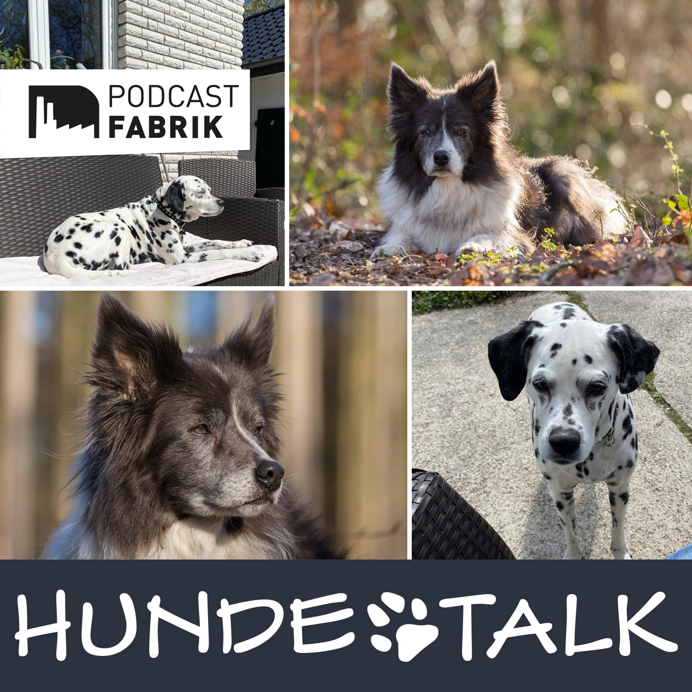 HUNDETALK - Dein Hunderunde-Podcast