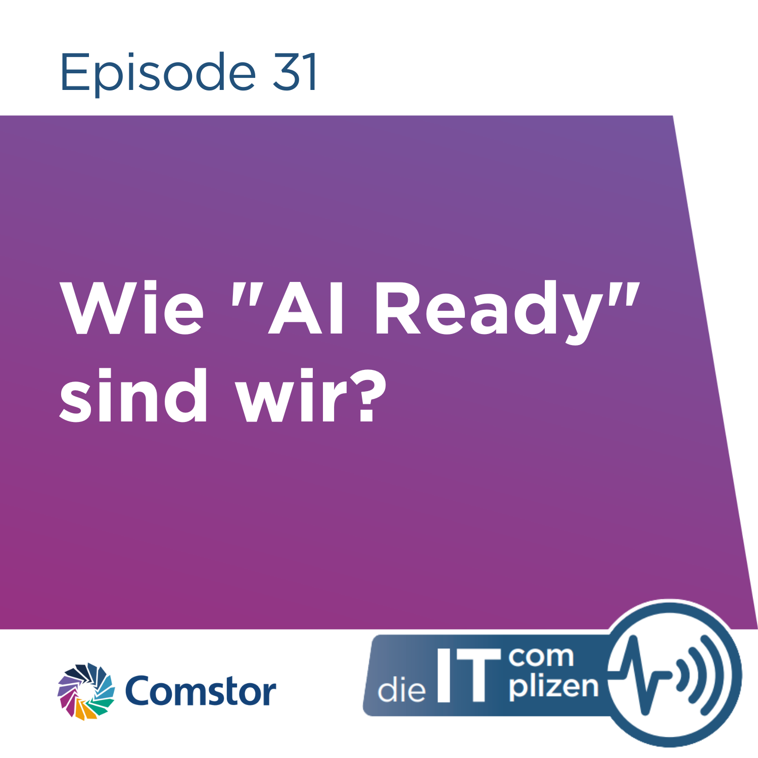 Comstor - Die IT Complizen