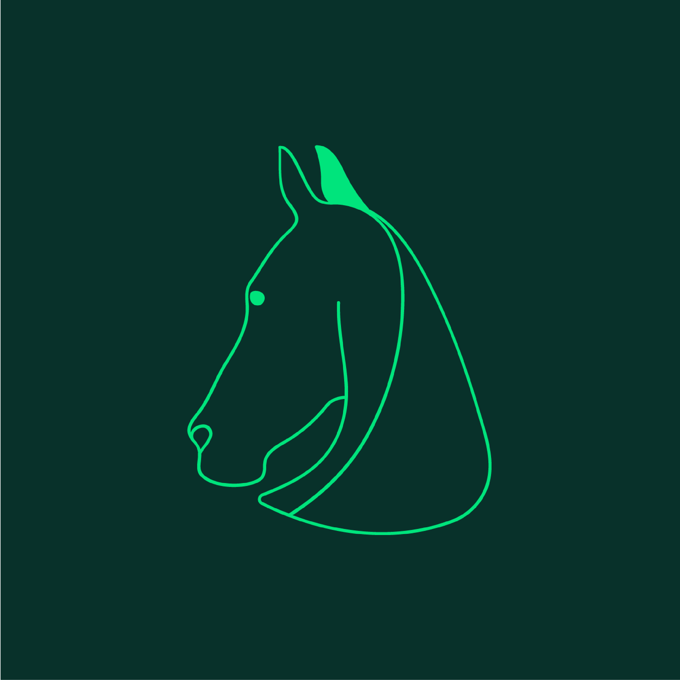 40 años de evolución en la distribución veterinaria equina con Koldo y Hèlia Rementeria