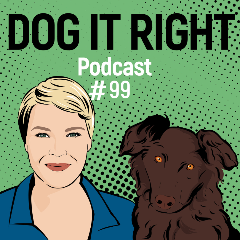 Dog It Right | Der Podcast für Hundemenschen