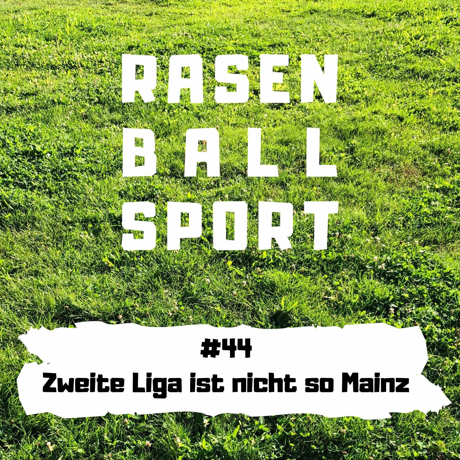 RASENBALLSPOTT