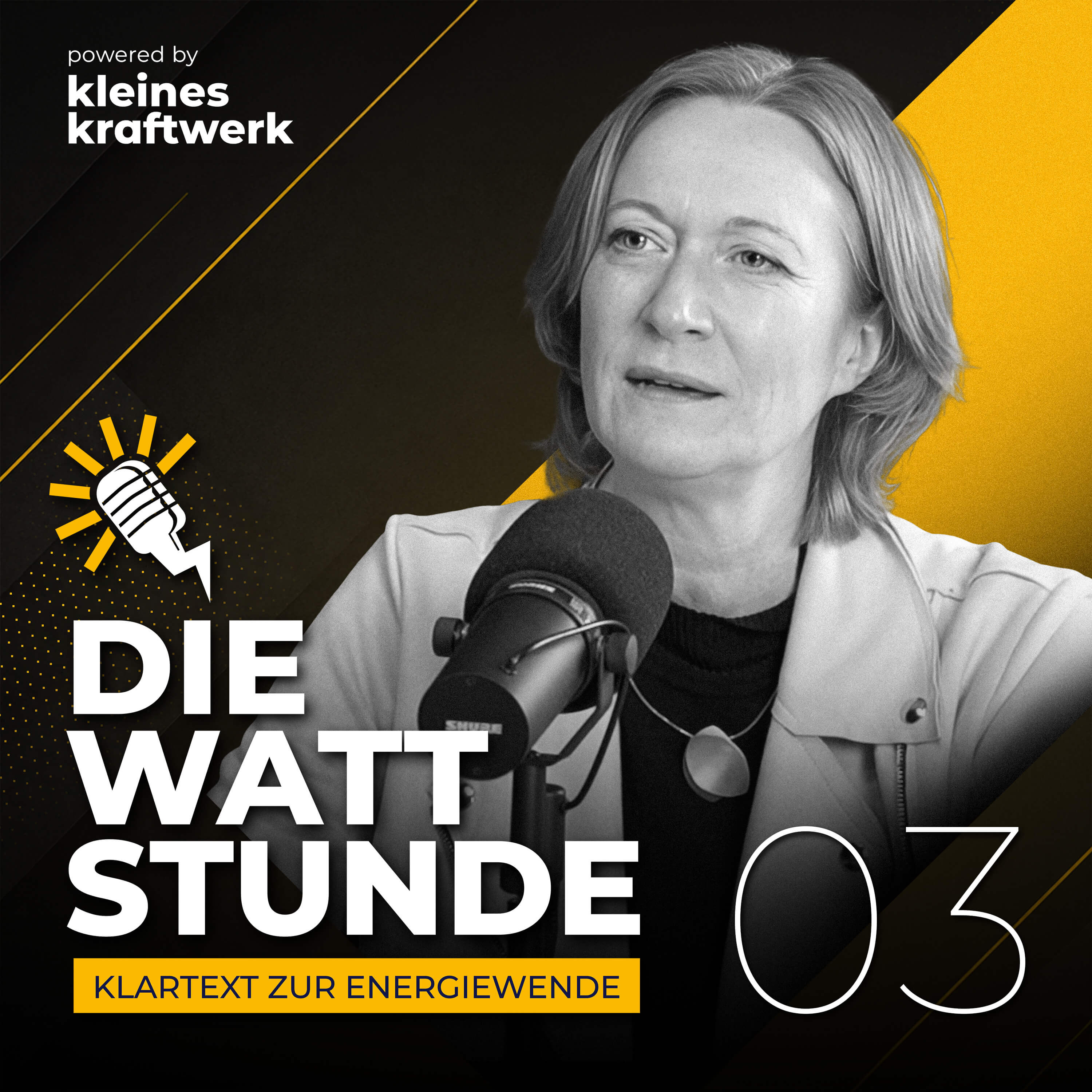#3 - Energiekonzern-Lobbyistin: „Zwischen Katherina Reiche und mir gibt es ein Vertrauensverhältnis." episode artwork