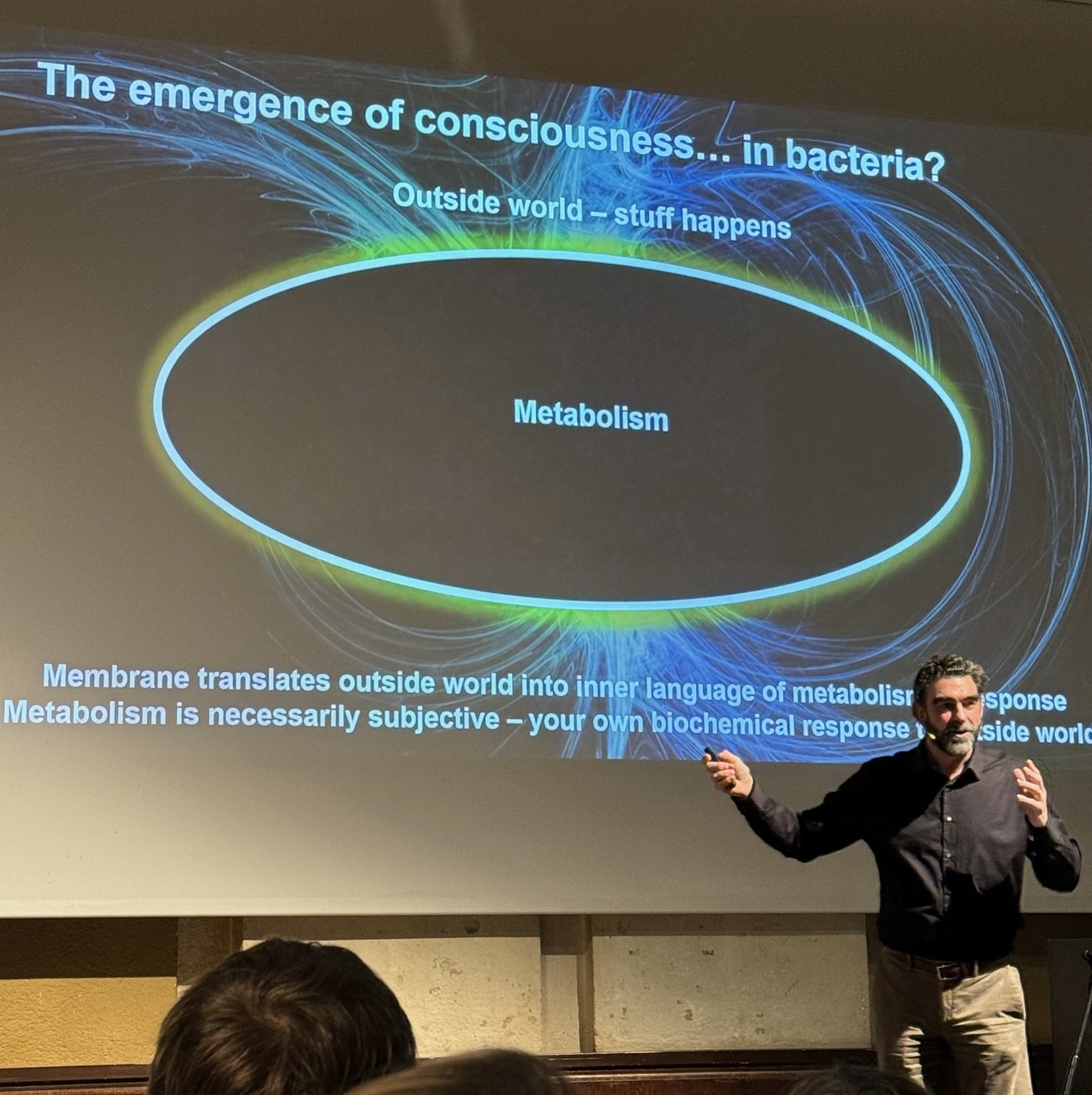 Art of Molecule