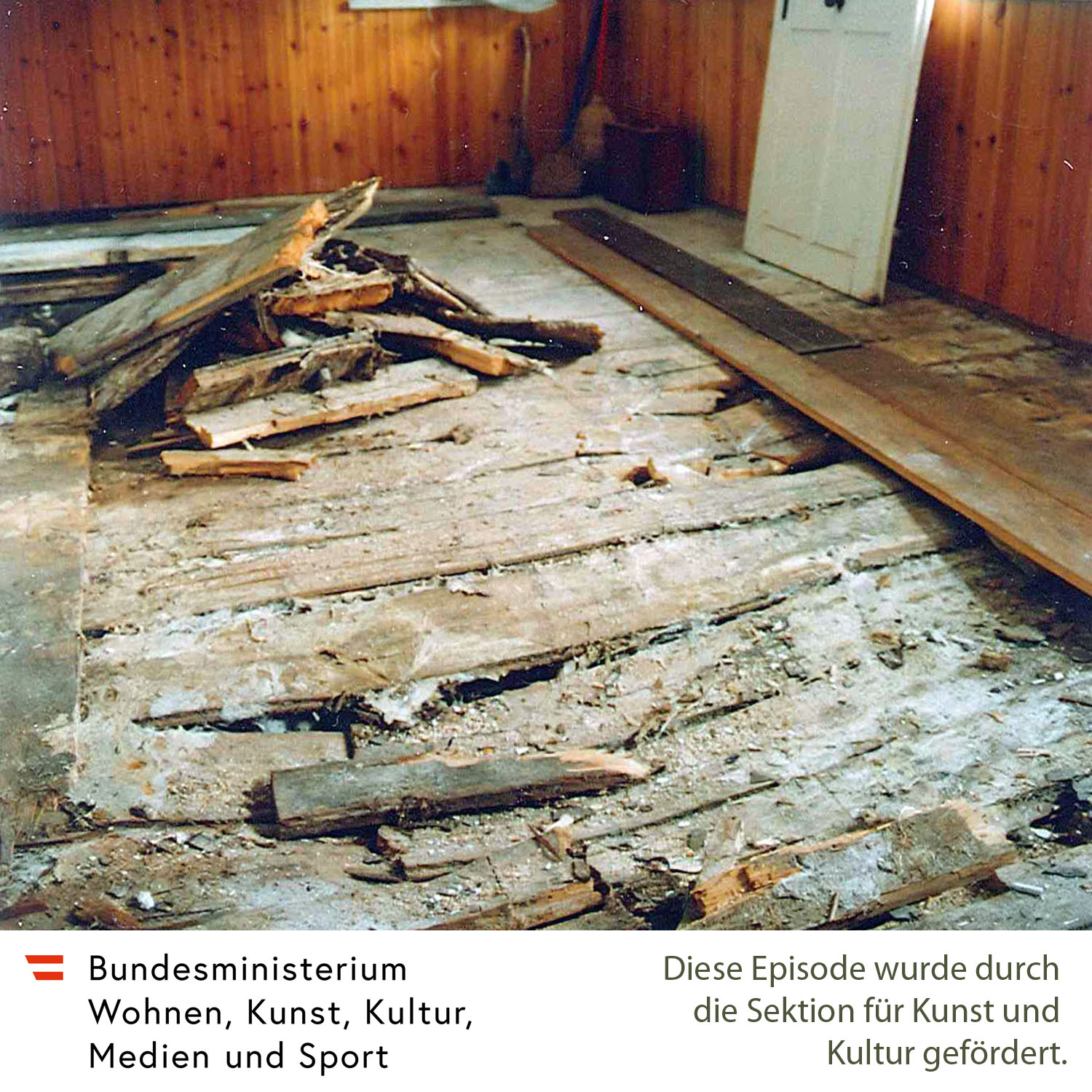 Holzzerstörende Pilze episode artwork
