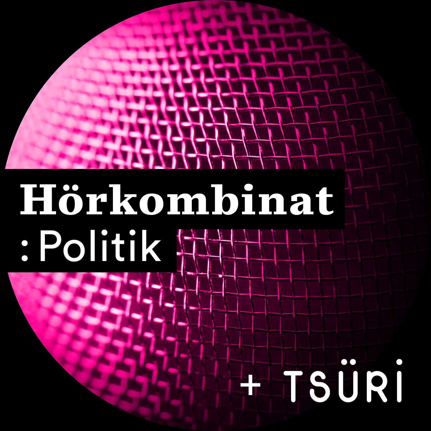 Hörkombinat :Politik