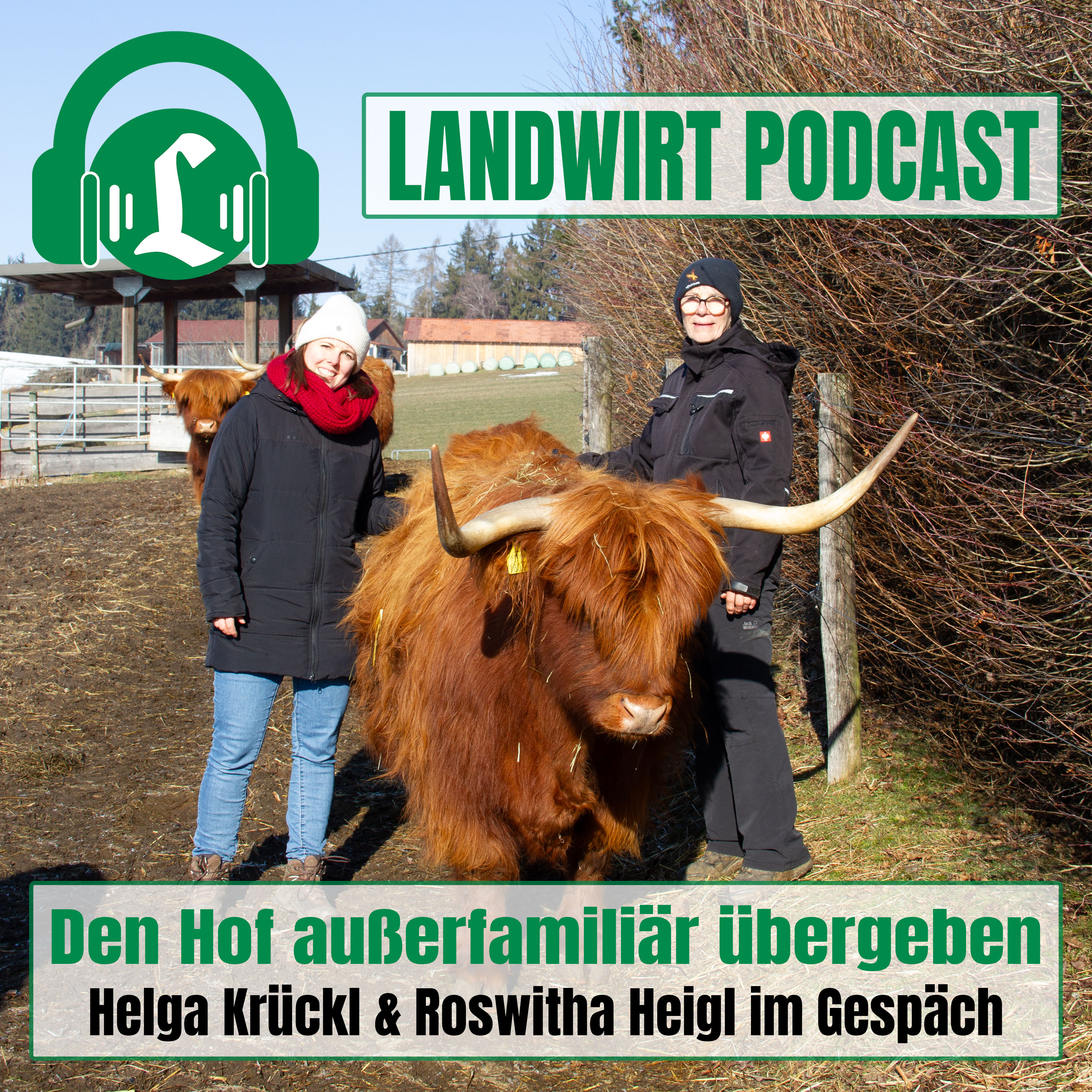 Den Hof außerfamiliär übergeben episode artwork