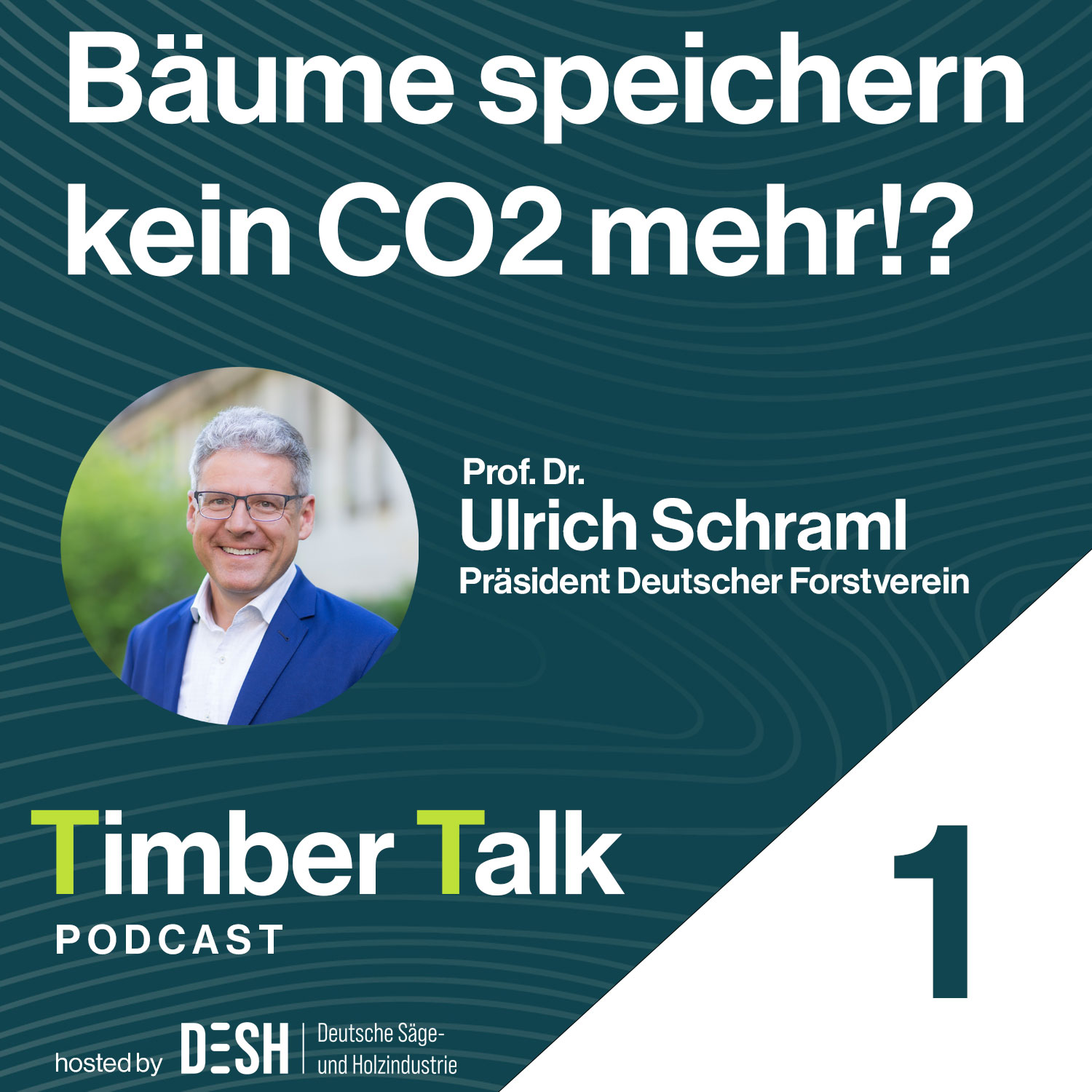 Timber Talk
