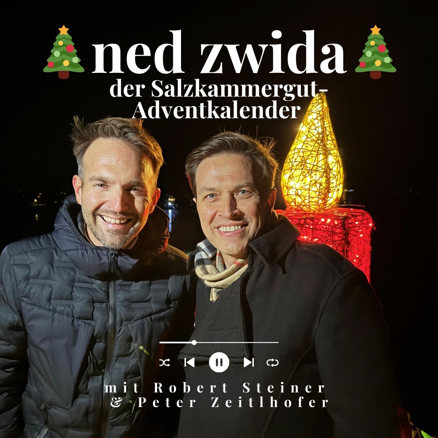 ned zwida - der Salzkammergut Podcast