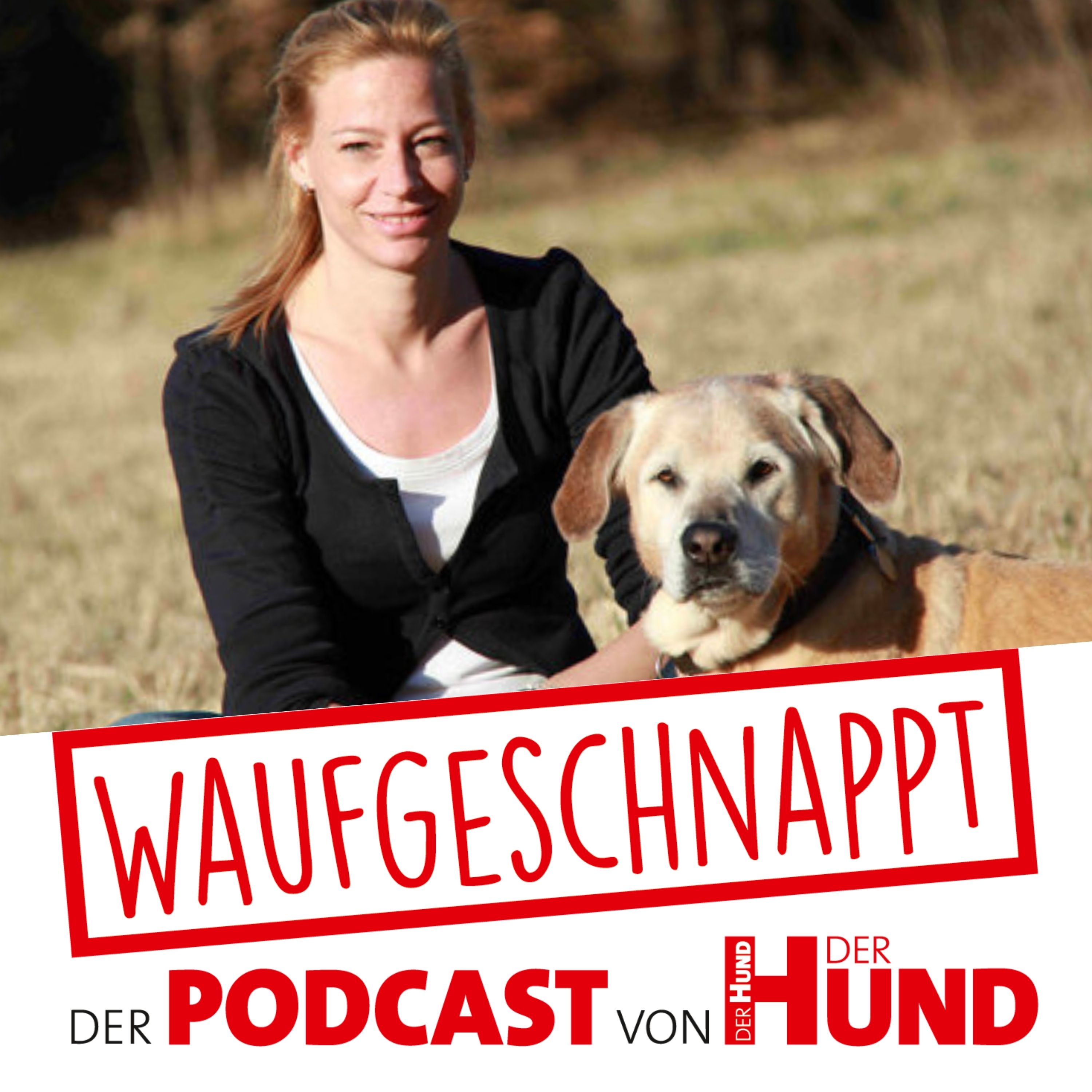 Waufgeschnappt - der Podcast von DER HUND