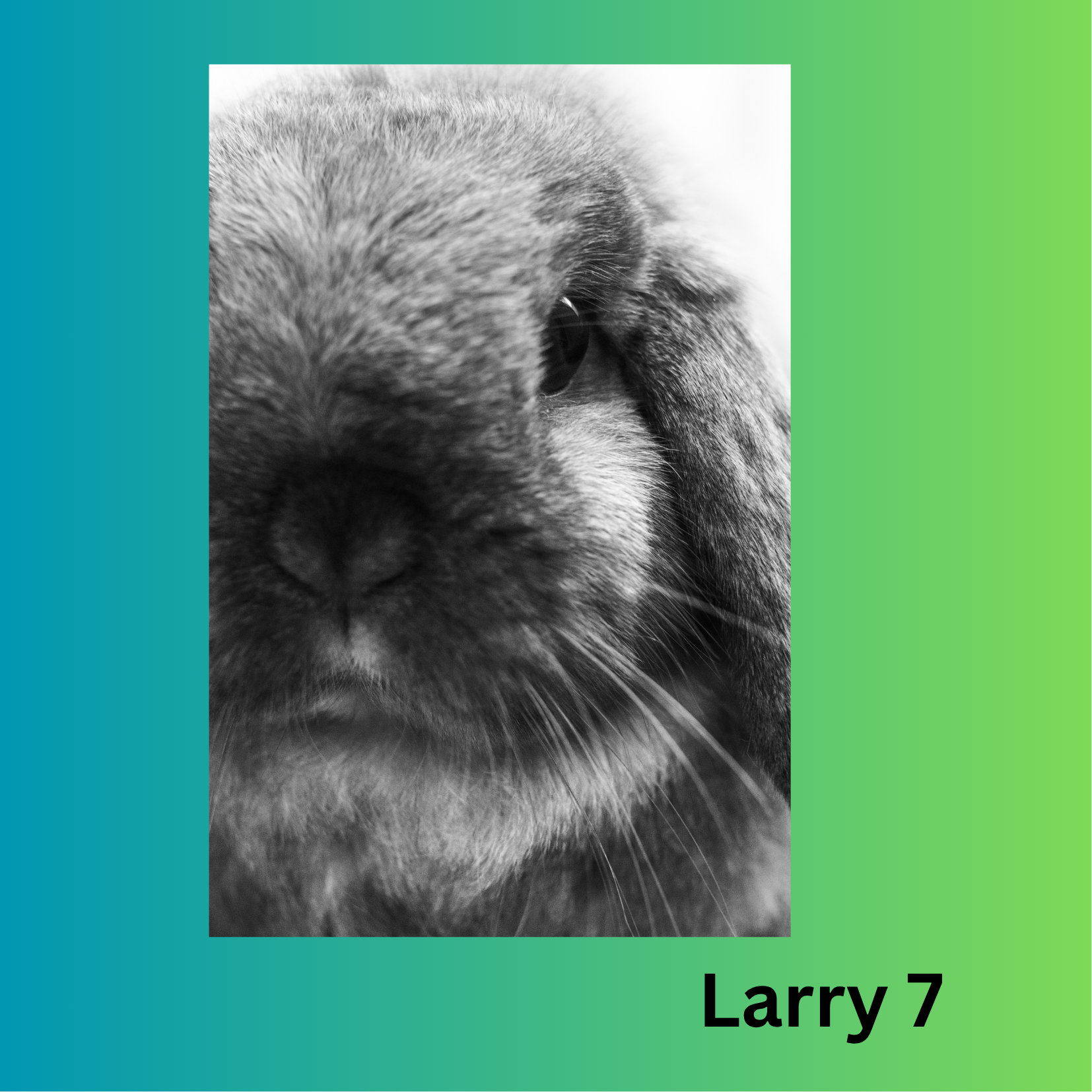 Friedenshamster Larry
