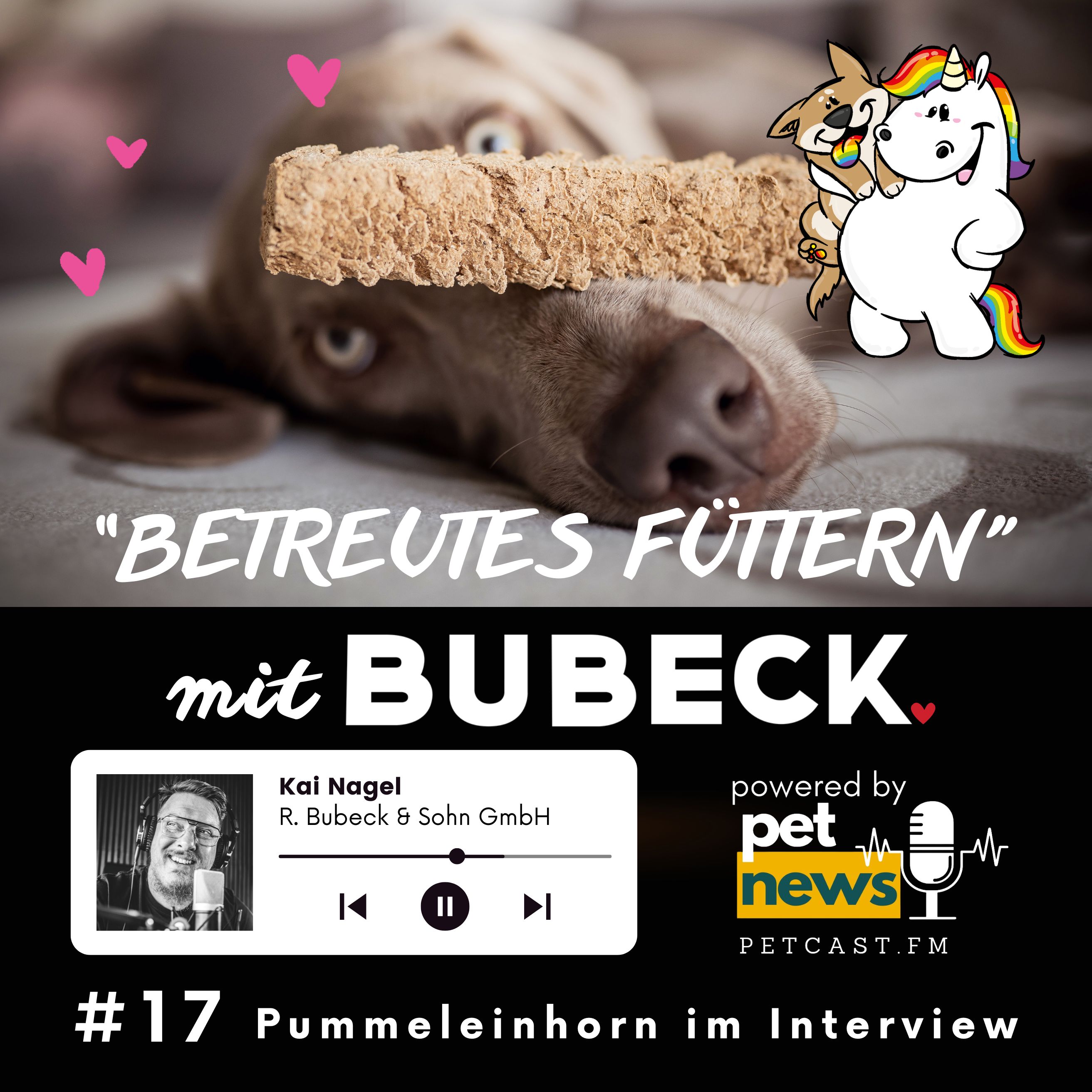 Betreutes Füttern mit Bubeck - Die älteste Hundefuttermanufaktur von 1893