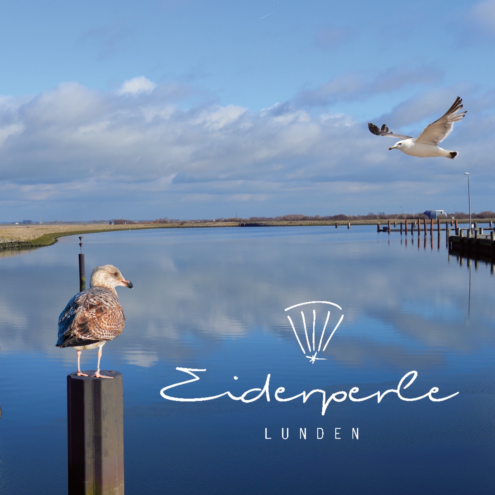 Eiderperlen