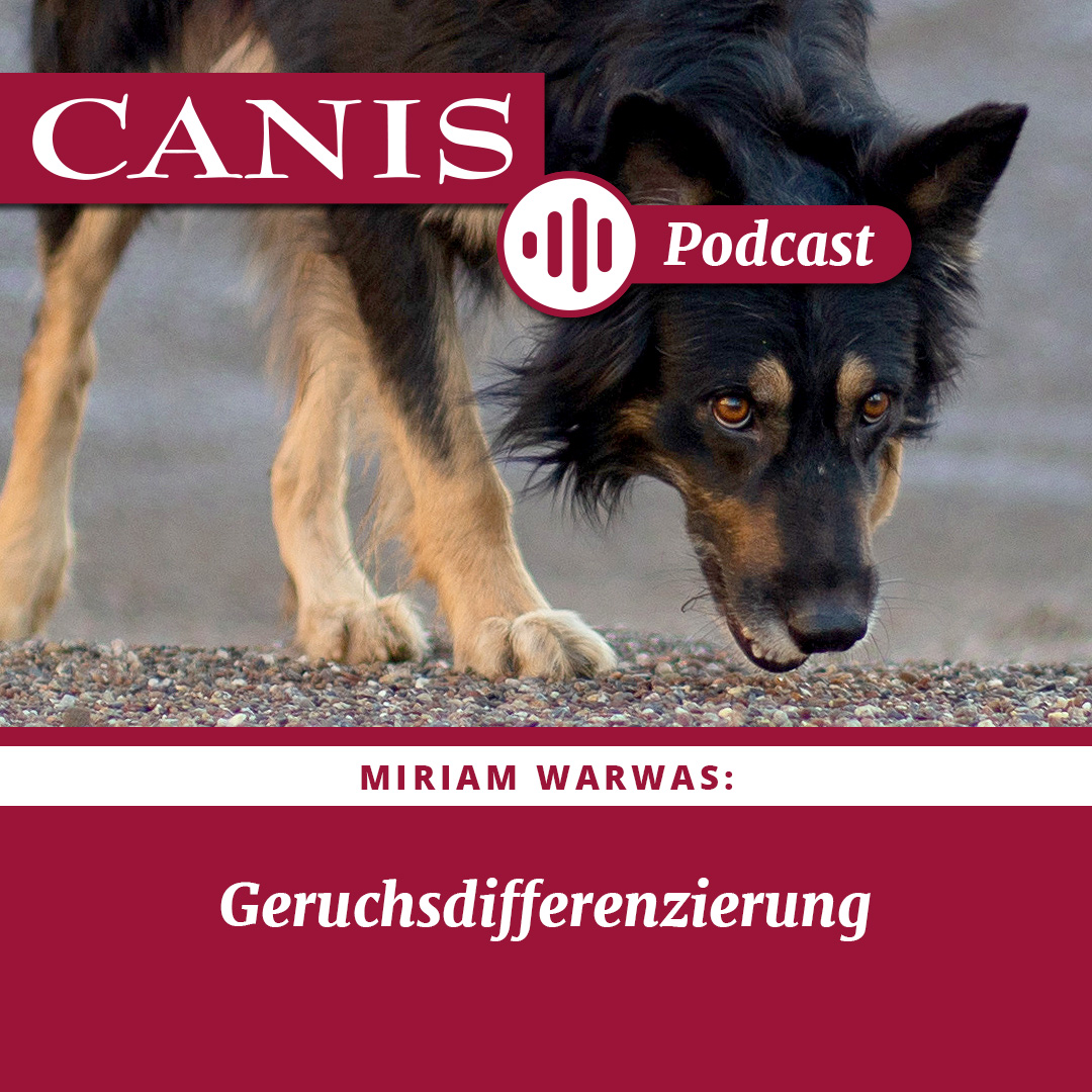 Der CANIS-Podcast – Hundeexpert:innen ausgefragt