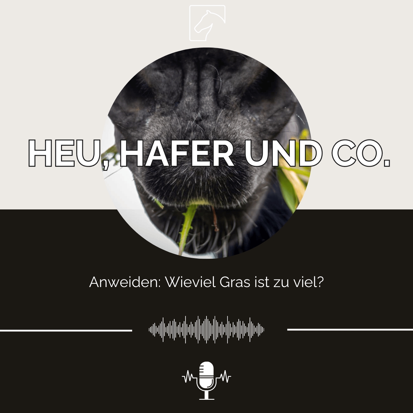 Heu, Hafer & Co: Der Pferdefutter-Podcast