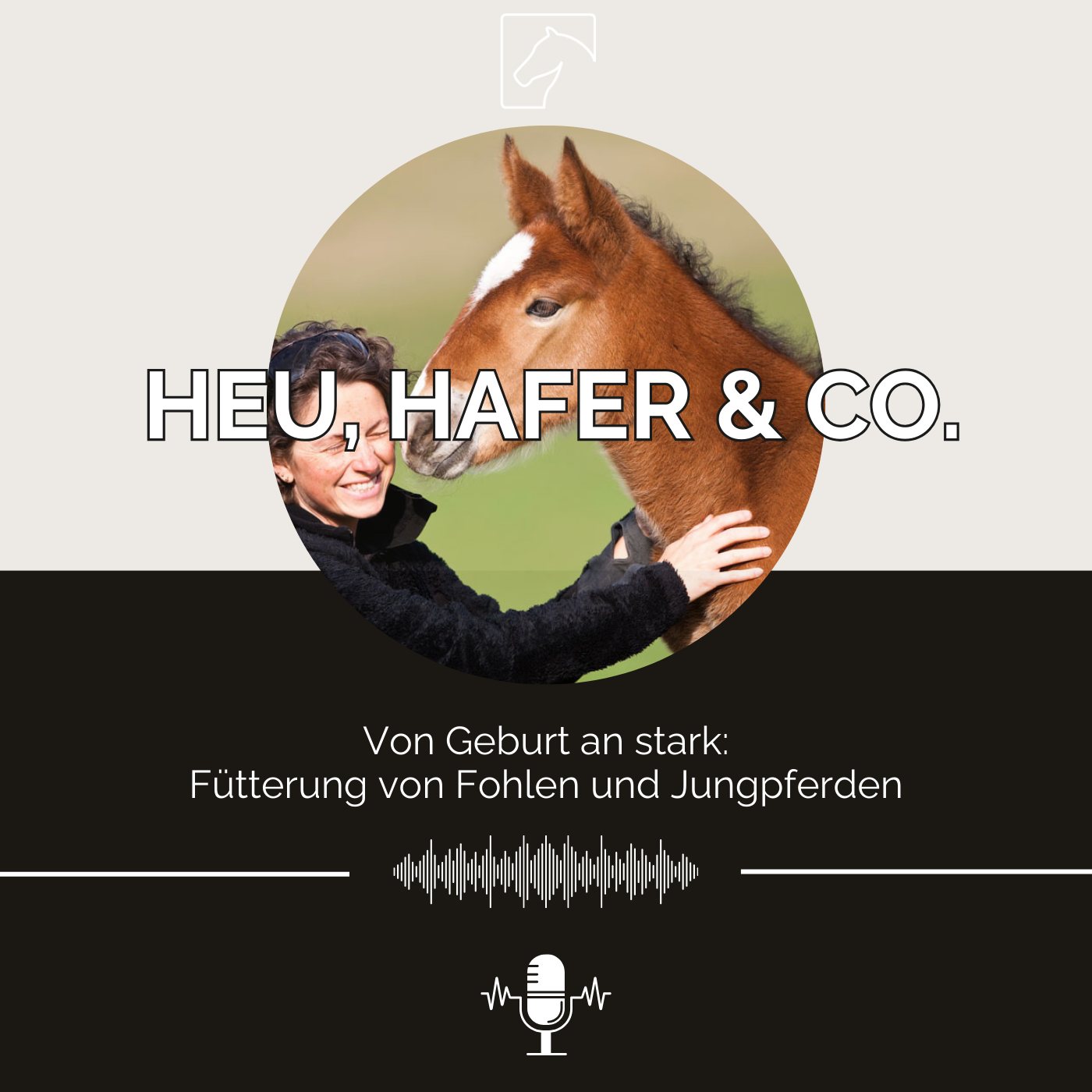 Heu, Hafer & Co: Der Pferdefutter-Podcast