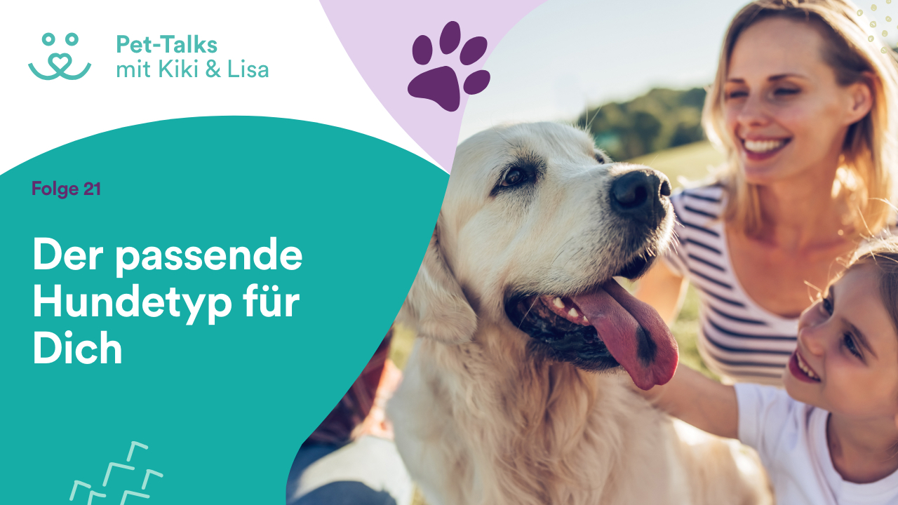 Pet-Talks mit Kiki & Lisa - der Hunde-Podcast von DeineTierwelt