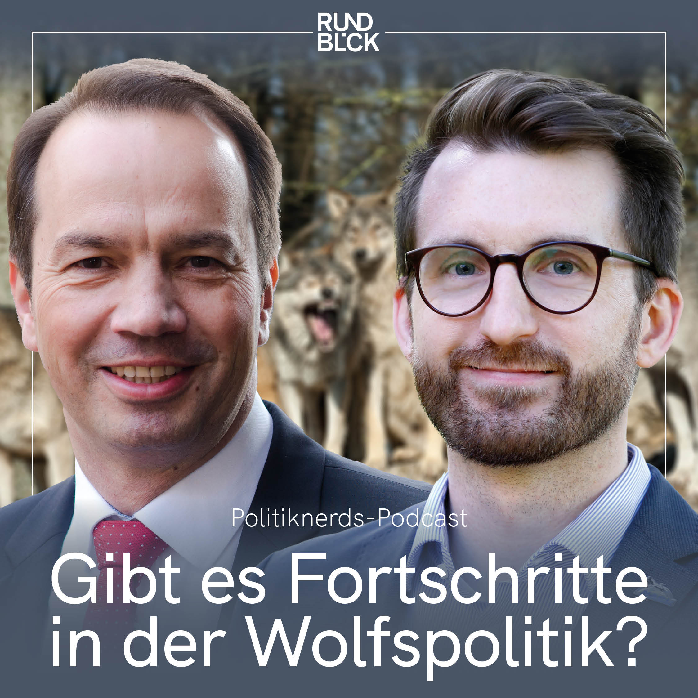 Politiknerds - Der Niedersachsen-Podcast