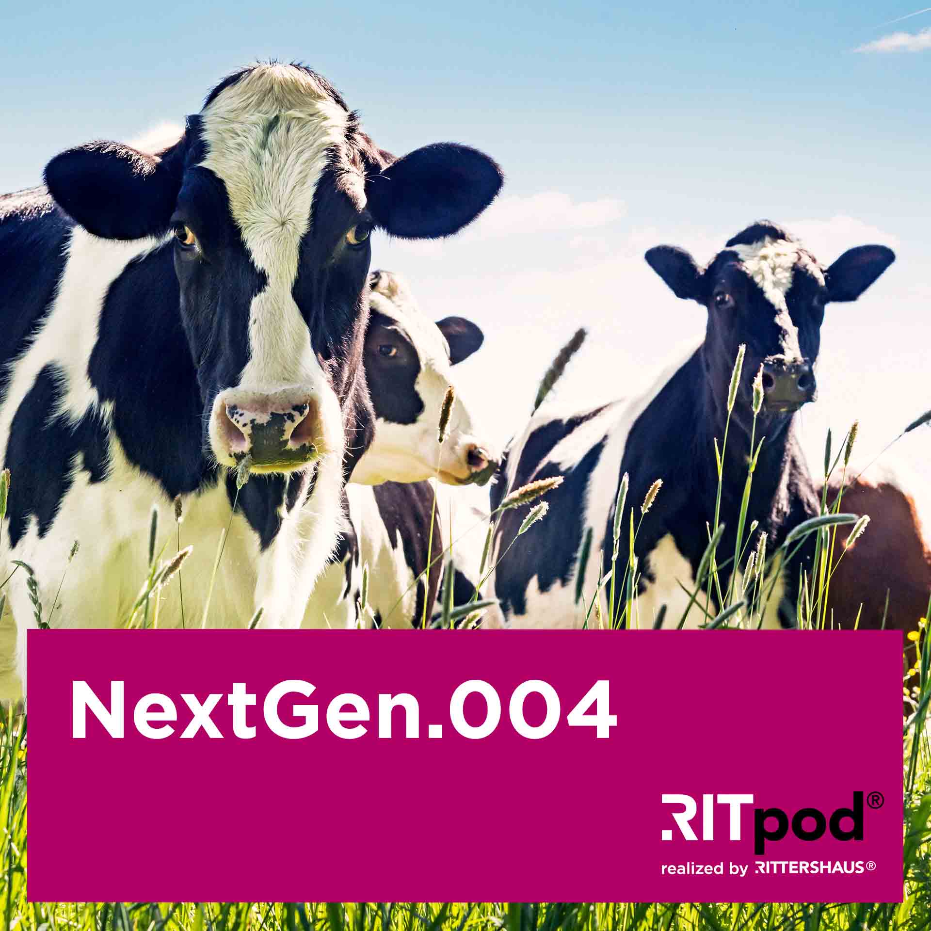 NextGen - Legal Insights zu den Themen Nachfolge, Vermögen und Stiftungen