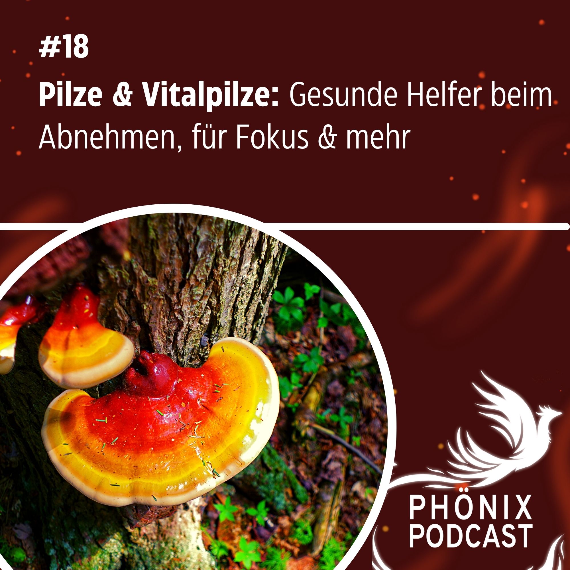 Vitalpilze und Pilze: Gesunde Helfer beim Abnehmen und für Mega-Fokus #18 - podcast episode cover