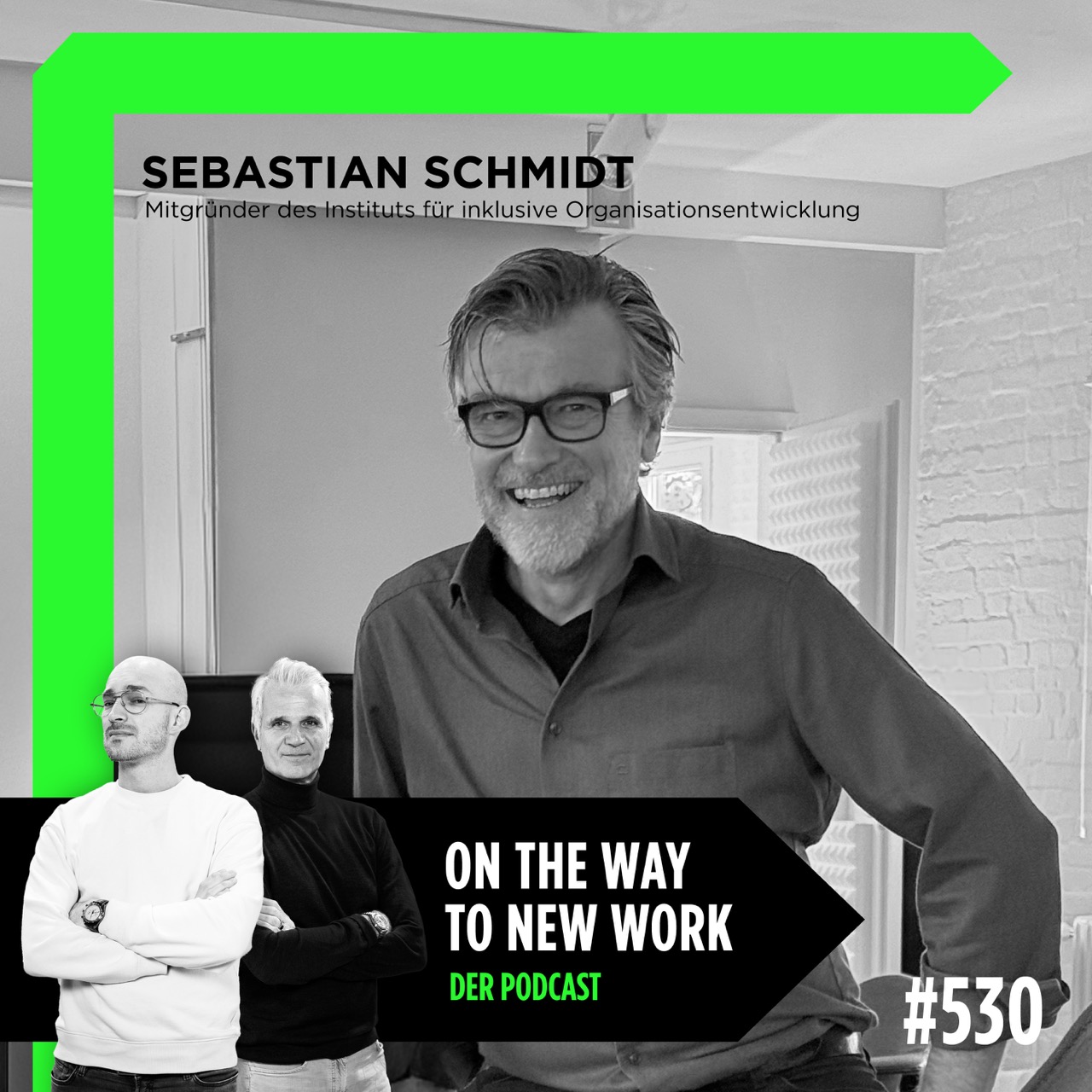 #530 Sebastian Schmidt | Mitgründer des Instituts für inklusive Organisationsentwicklung