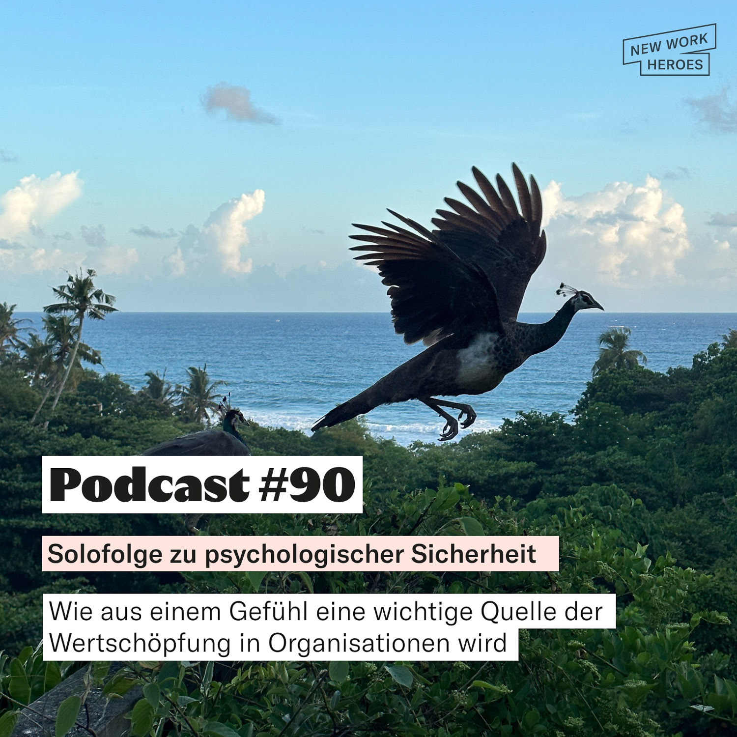 New Work Heroes Podcast