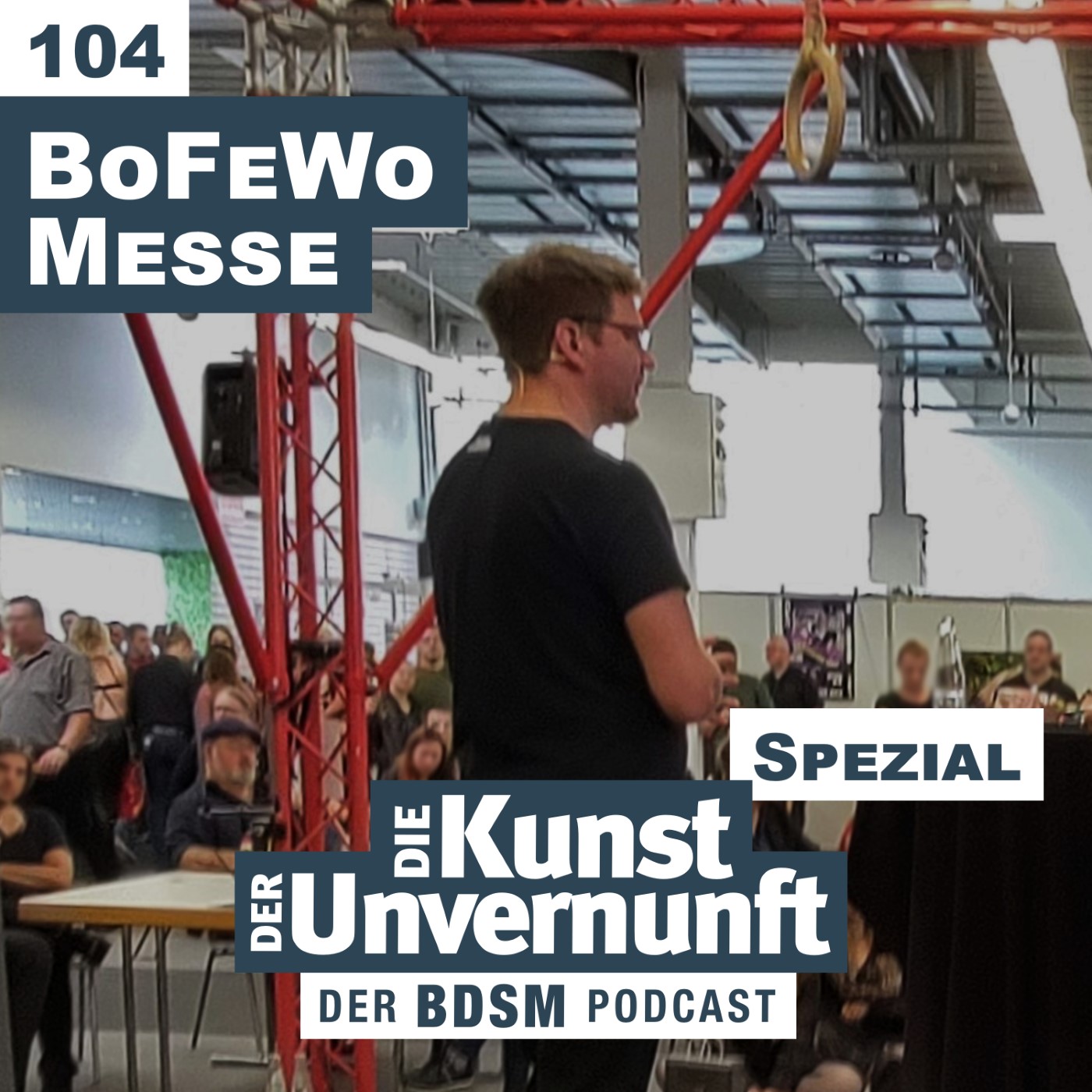BDSM - Die Kunst der Unvernunft