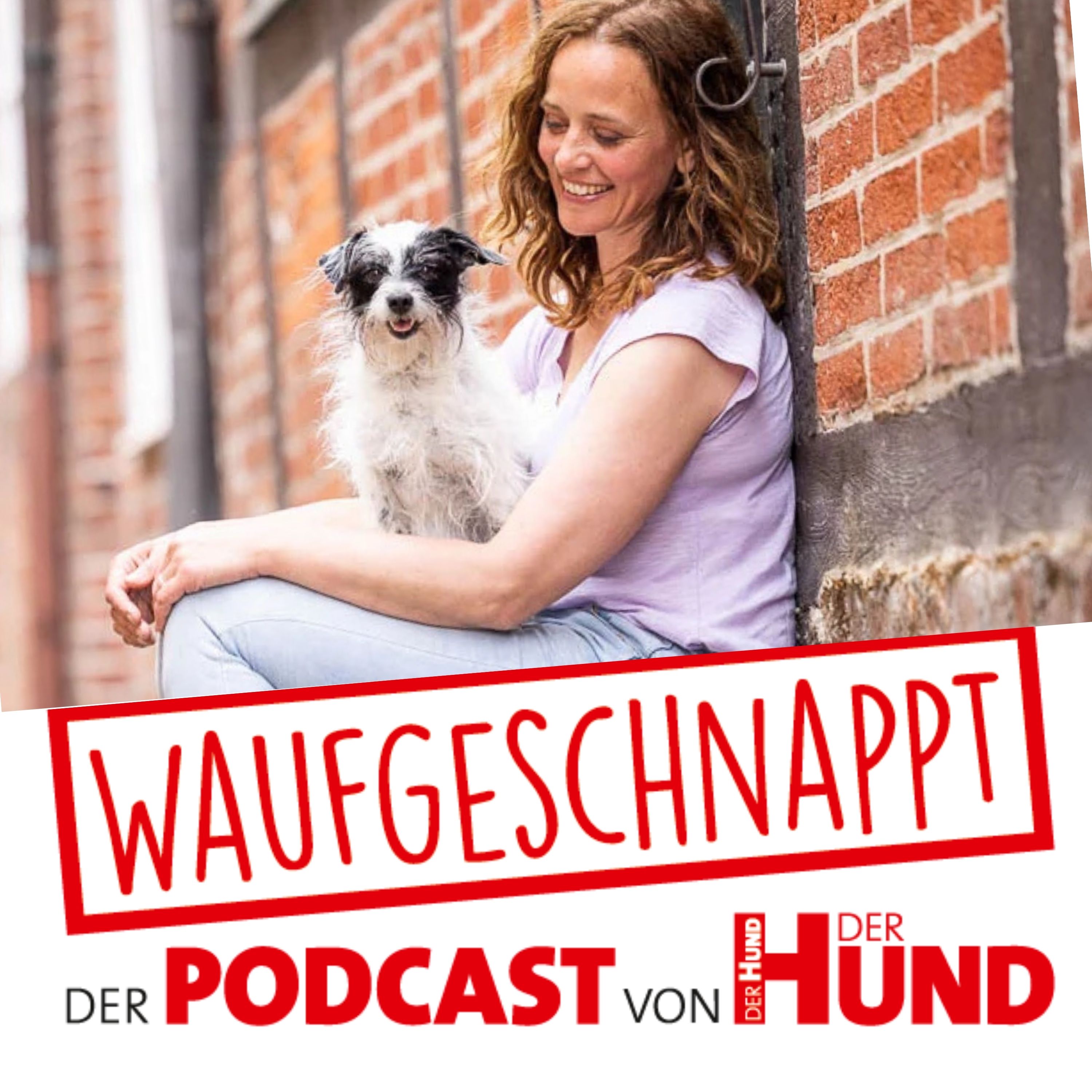 Bus & Bahnfahren mit Hund - Kate Kitchenham episode artwork