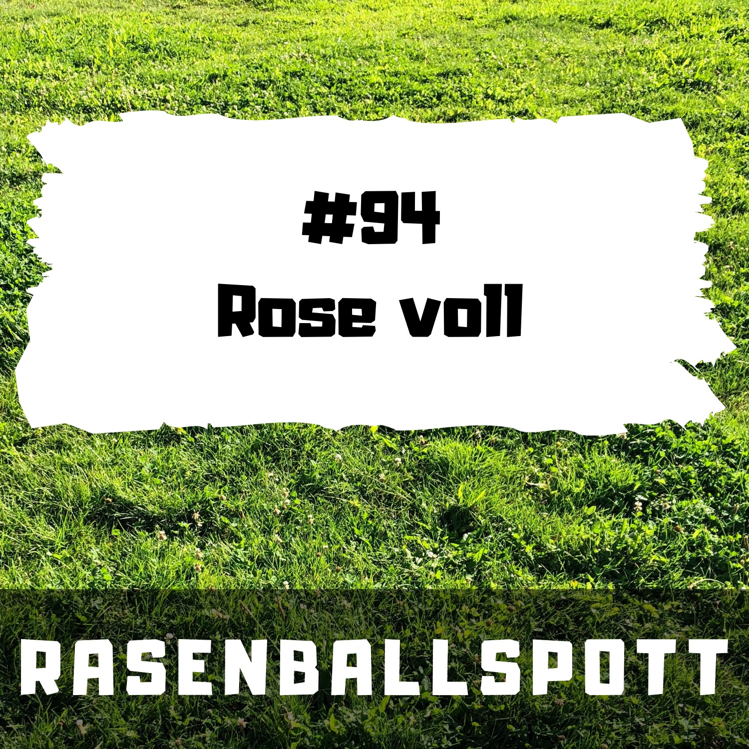 RASENBALLSPOTT