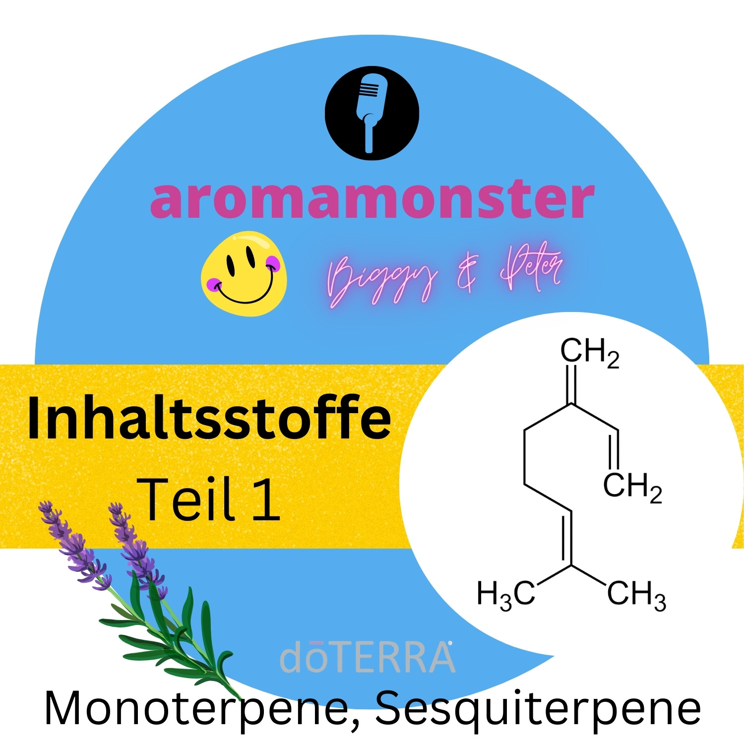 Inhaltsstoffe ätherischer Öle:  MONOTERPENE & SESQUITERPENE episode artwork