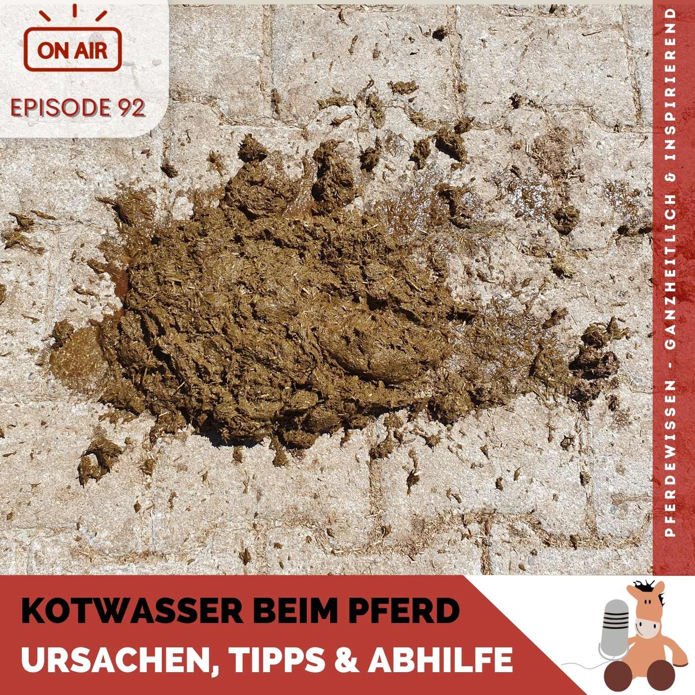 Pferdewissen - ganzheitlich & inspirierend mit Sandra Fencl