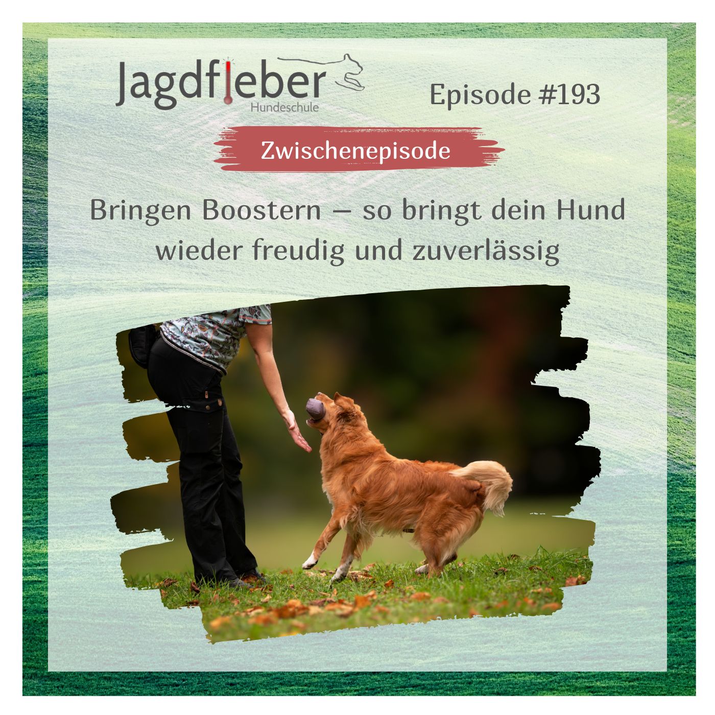 P193: Bringen Boostern – so bringt dein Hund wieder freudig und zuverlässig episode artwork