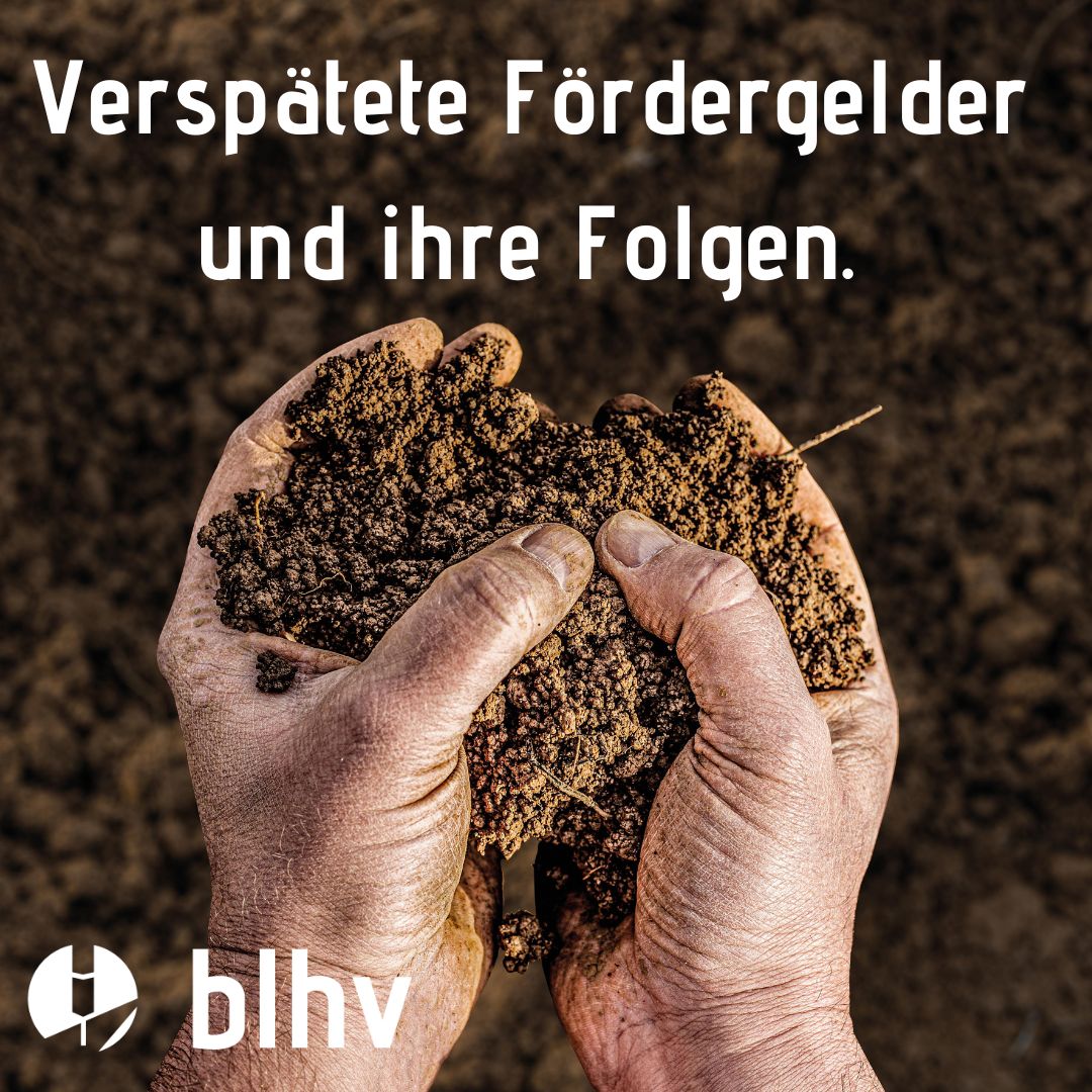 wirlandwirten Podcast
